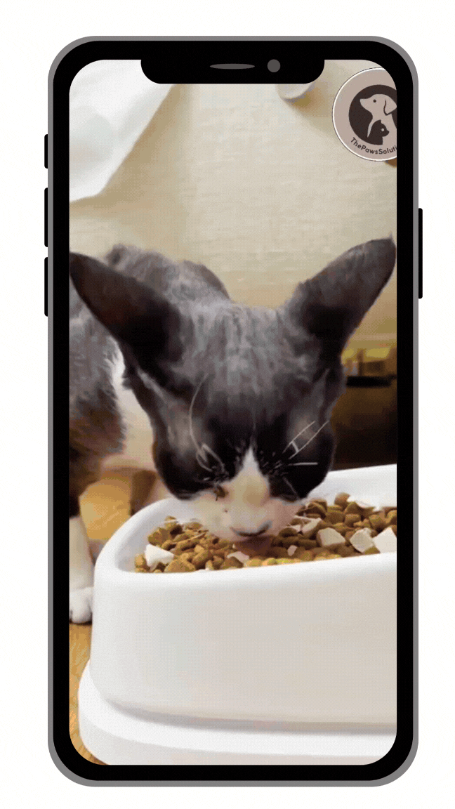 True Tales  IG Stories (4).gif