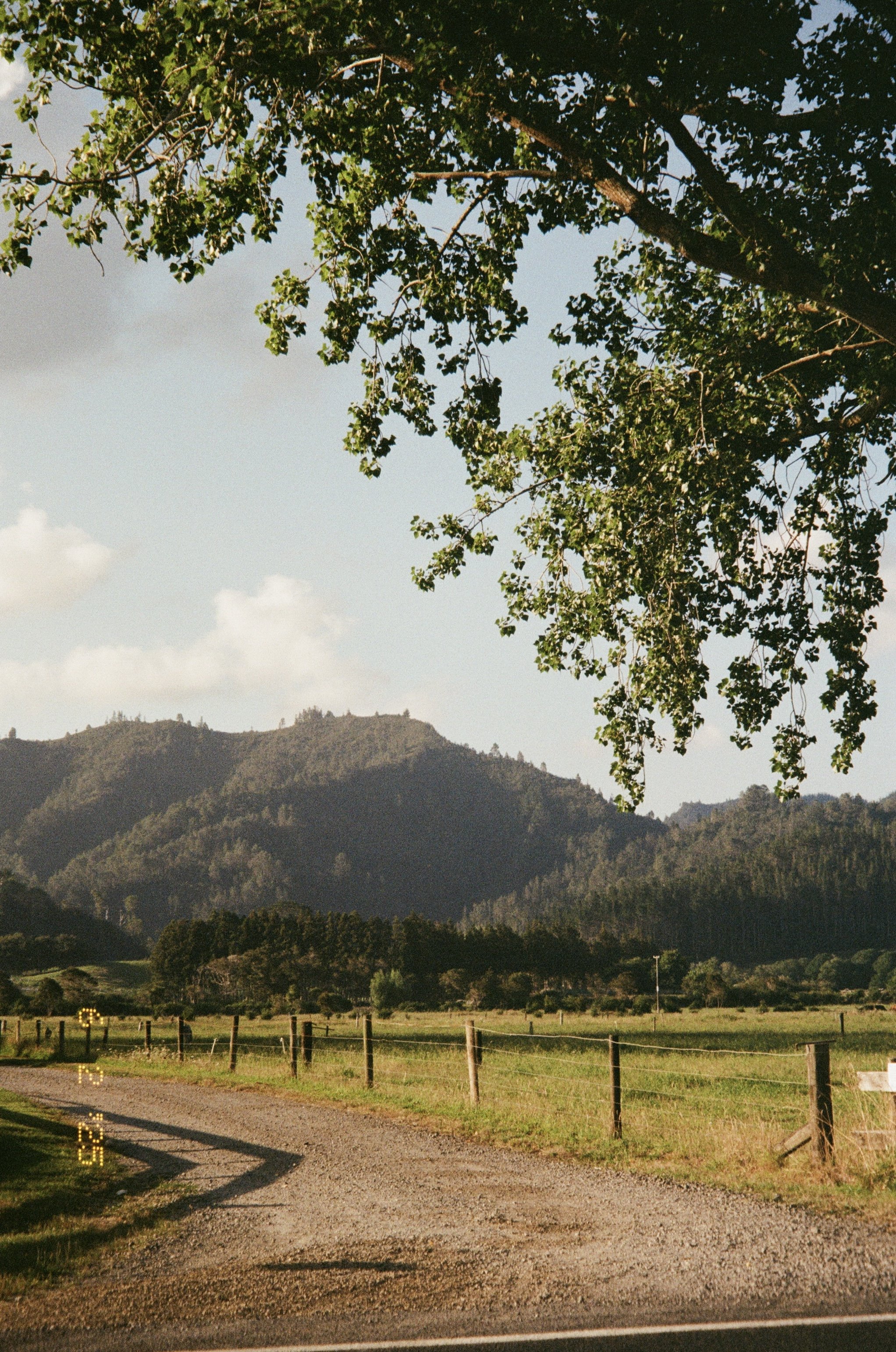 Scenic landscape with mountains, tree branches, dirt road, and green countryside.