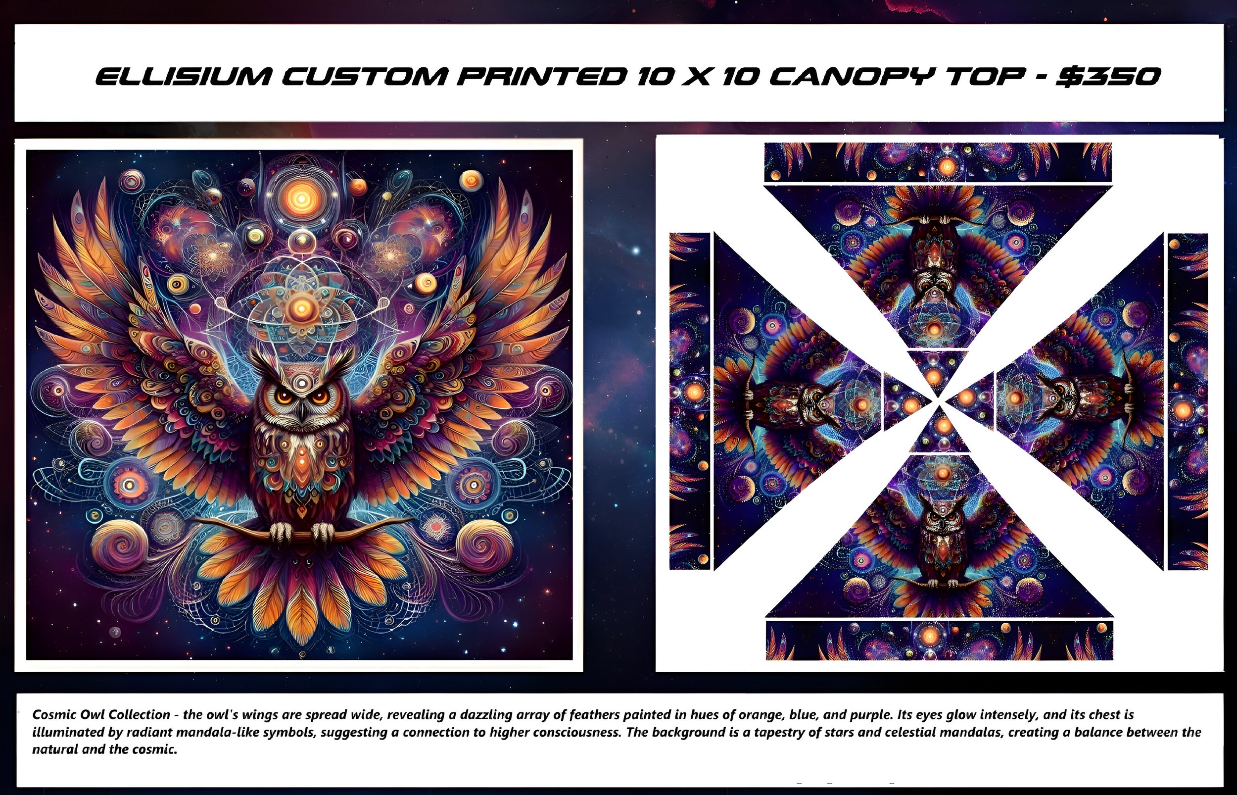 Flyer - Cosmic Owl_Purp.jpg