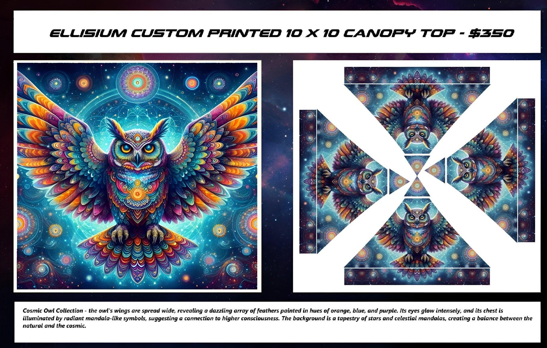 Flyer - Cosmic Owl_Blue.jpeg