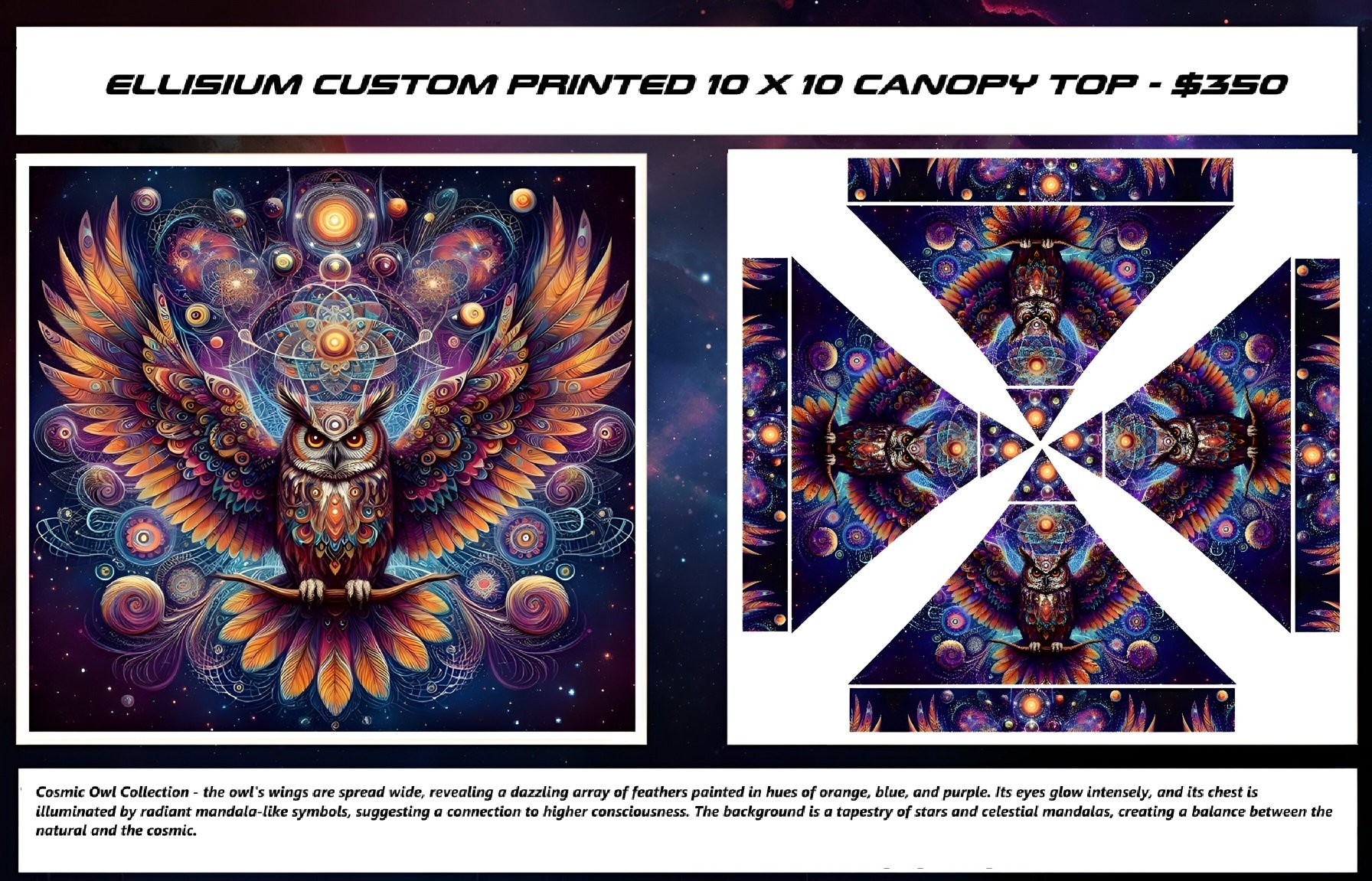 Flyer - Cosmic Owl_Purp.jpeg