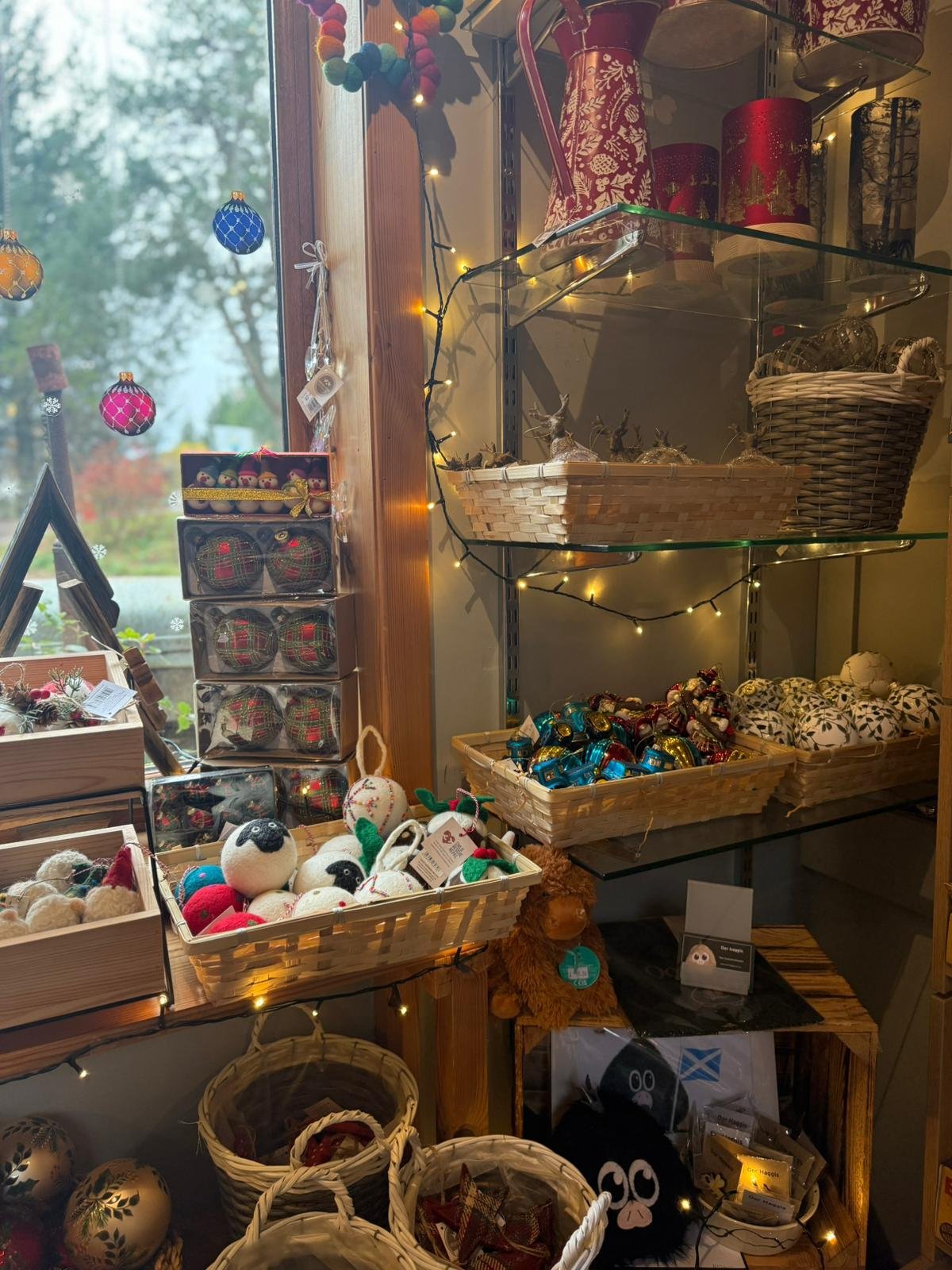 WhatsApp Image 2025-11-13 at 12.16.50 (1).jpeg