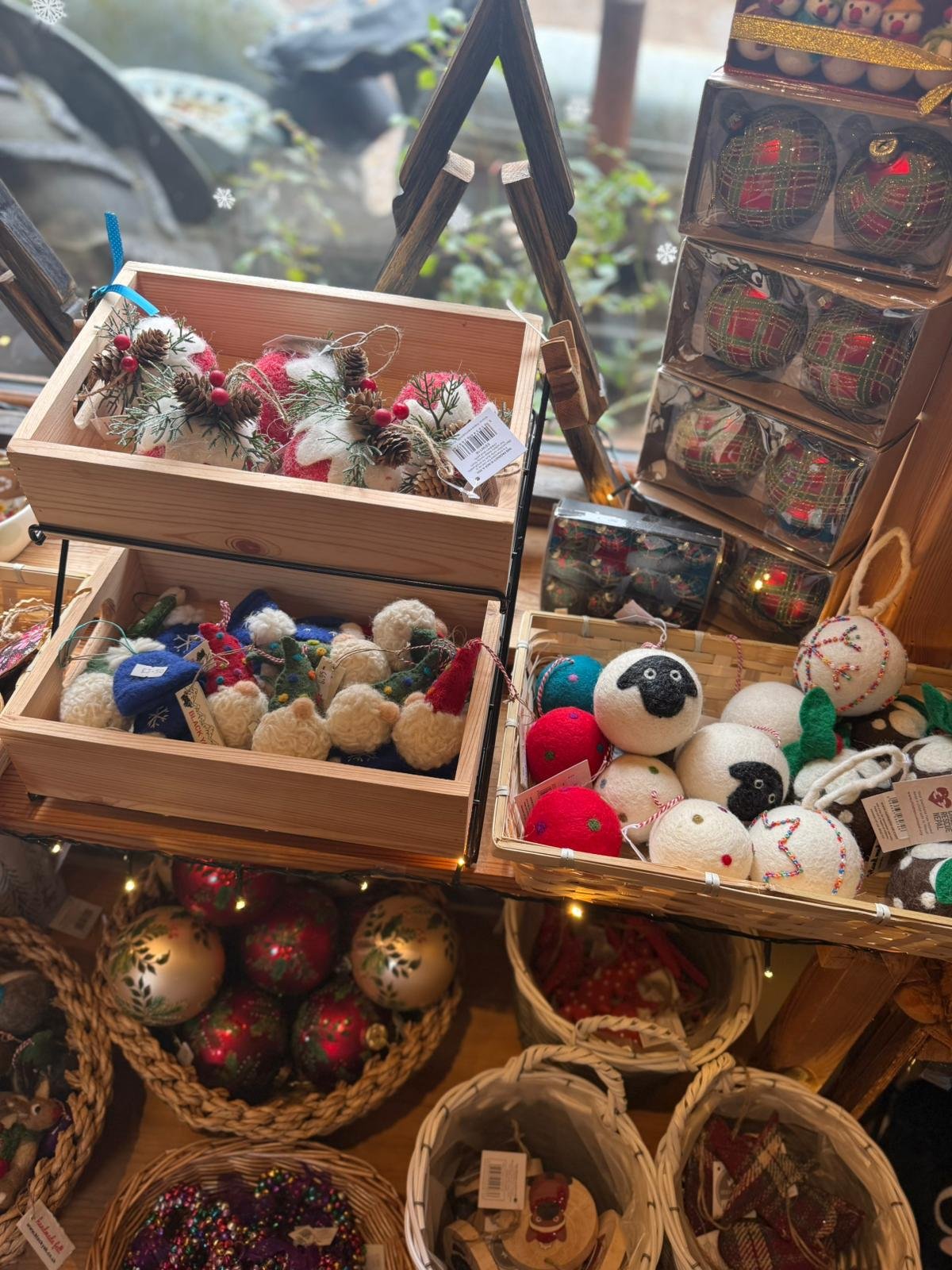 WhatsApp Image 2025-11-13 at 12.16.50 (3).jpeg