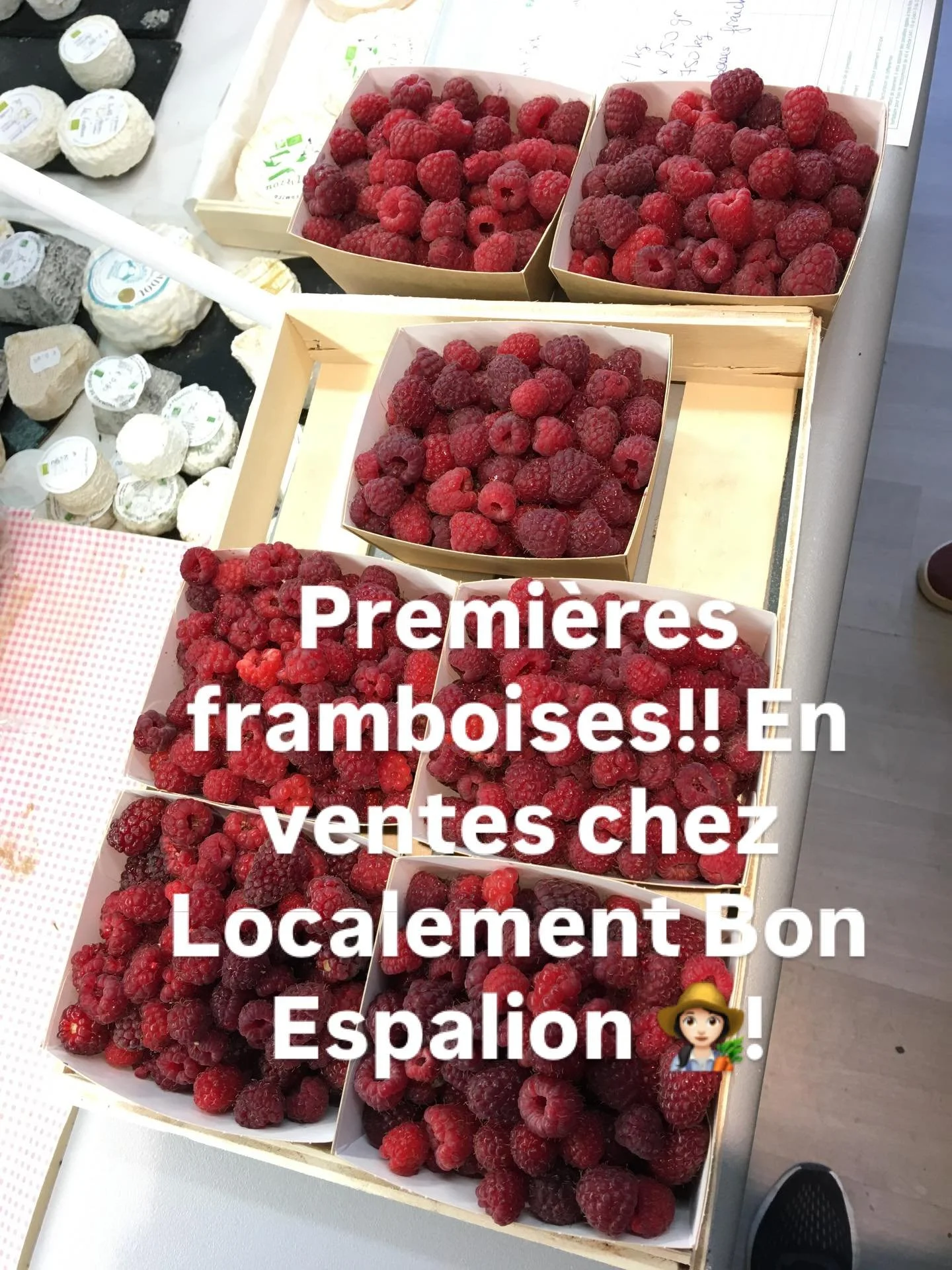 C&rsquo;est le d&eacute;but de la saison des fruits rouuuuges !!! Framboises, groseilles, groseilles &agrave; maquereaux, groseilles rouges et blanches, cassis, casseille&hellip;suivant le temps, suivant les gourmands (oiseaux, insectes, ramasseurs&h