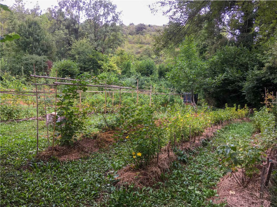 Visite commentée de mes jardins (sur réservation par mail ou téléphone)