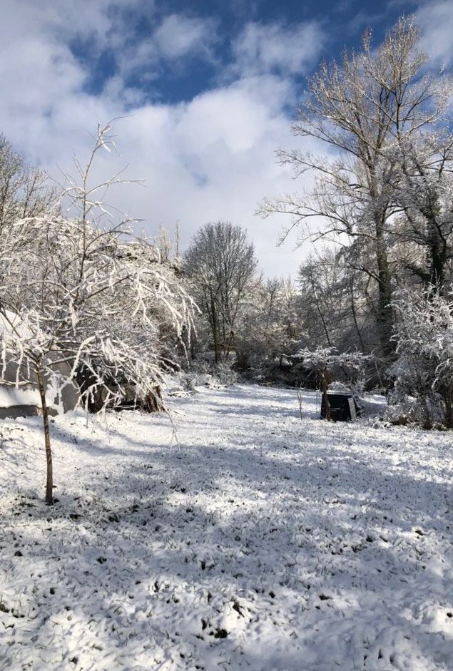 BouyssacNeigesaule.jpg