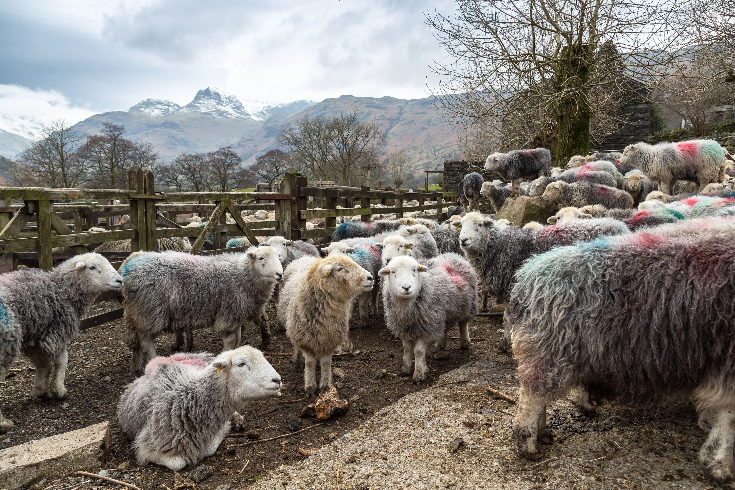 Lake District
