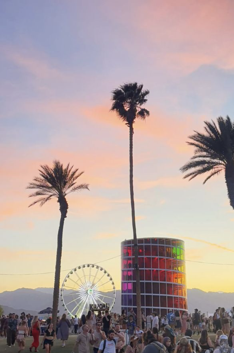 Screenshot 2026-03-17 at 8.01.48 am.png