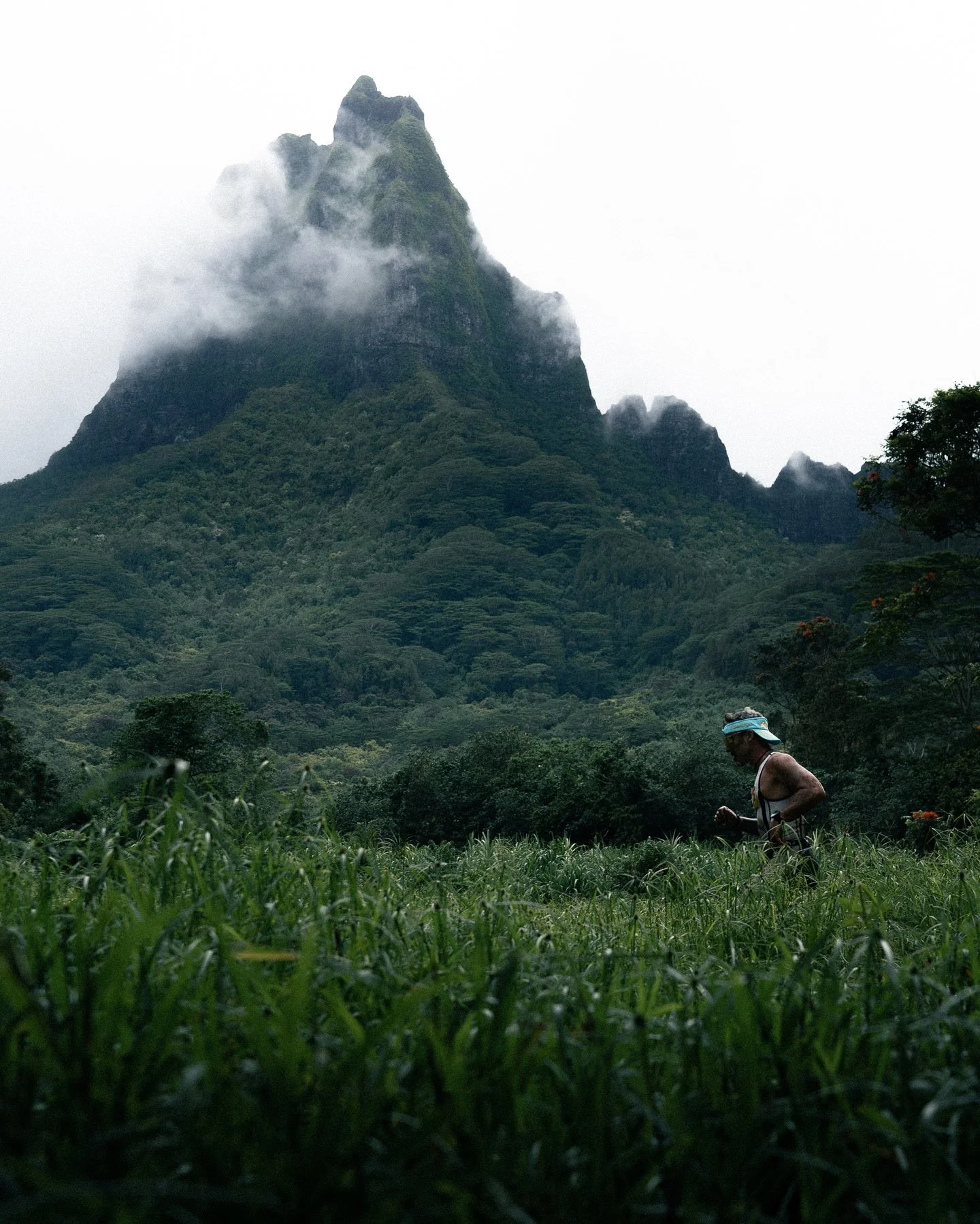 Back on the Xterra 2024.
Part II trail running 
Team @lionelcuveiller 🙌
For @xterratahiti 
#triathlon #triathlete #workout #workhard #jungle #running #trail #bike #xterra #tahiti #tahitilife #everydaylife #photography