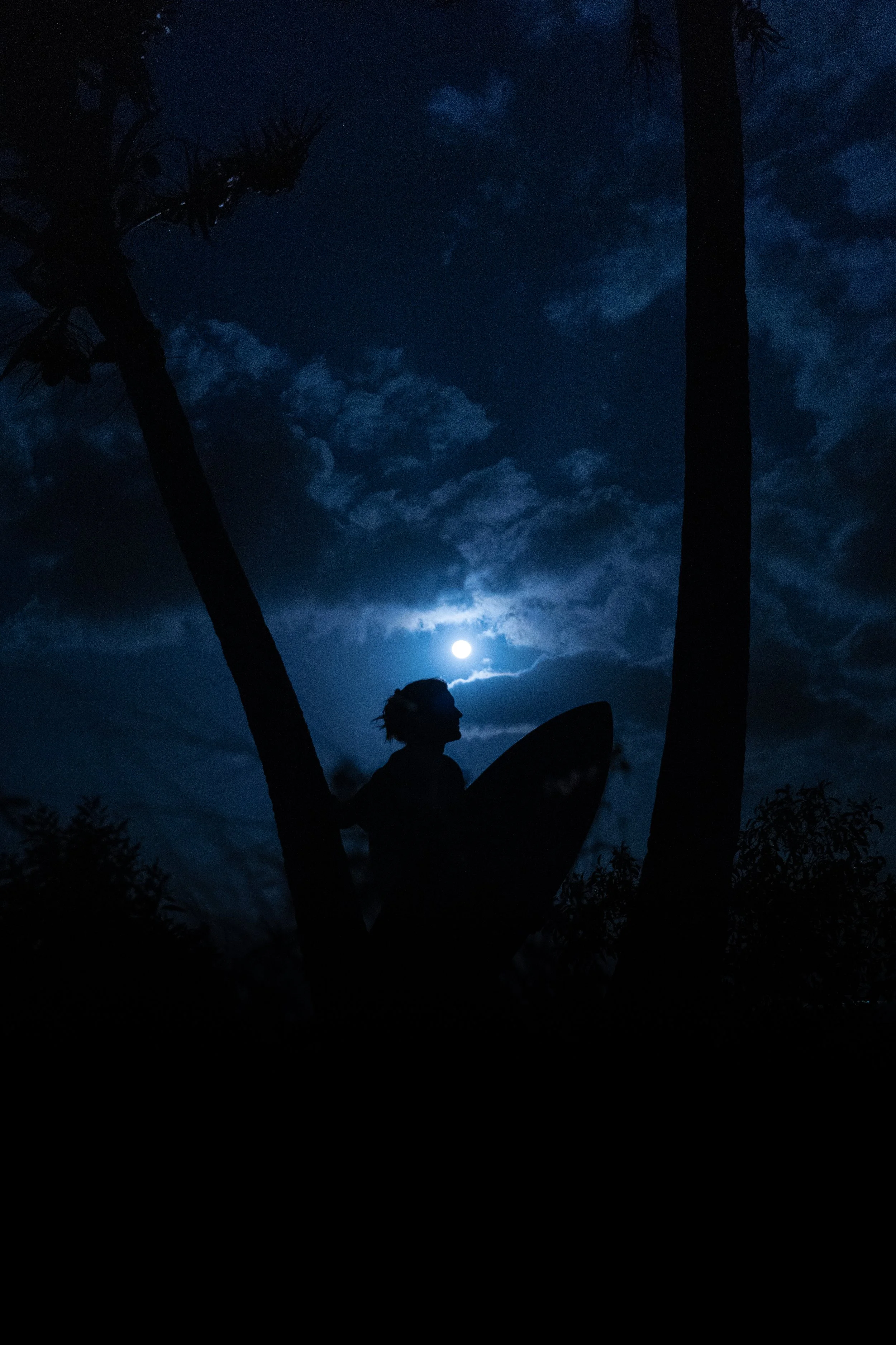 Silhouette of a surfer holding a surfboard standing between two palm trees under a full moon at night.
