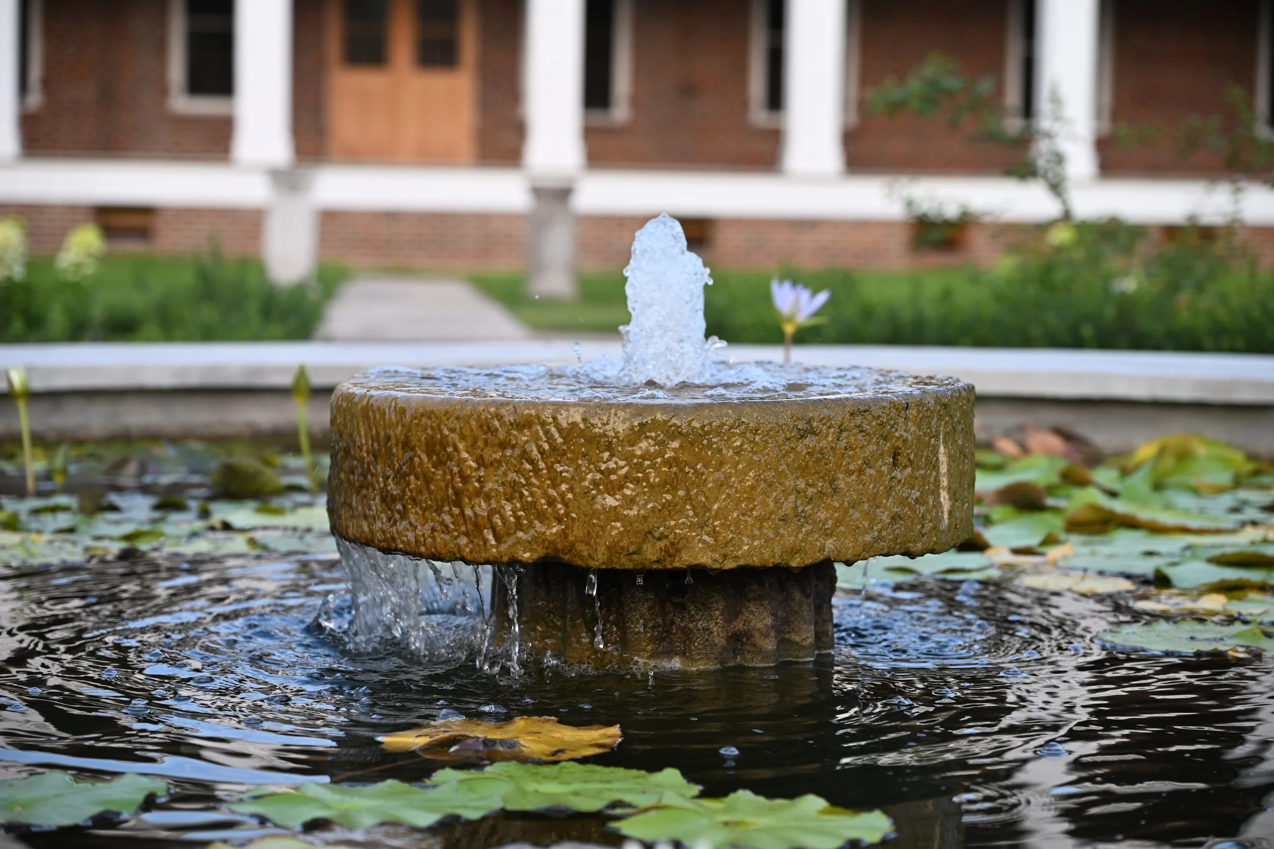 DSC_1332.JPG