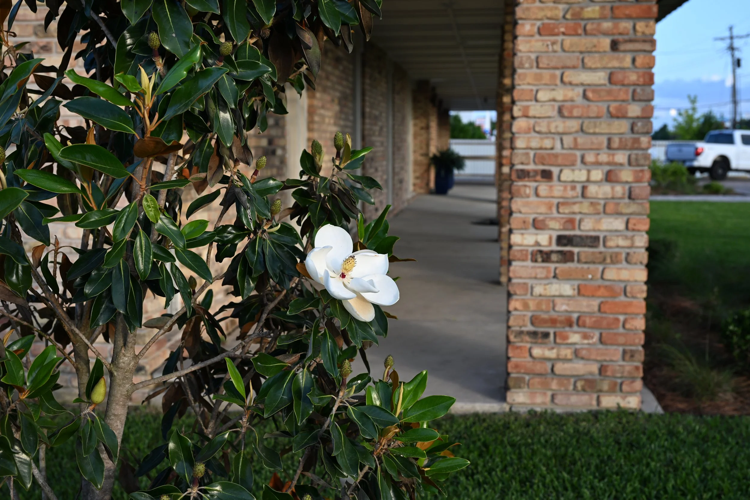 DSC_0378.JPG