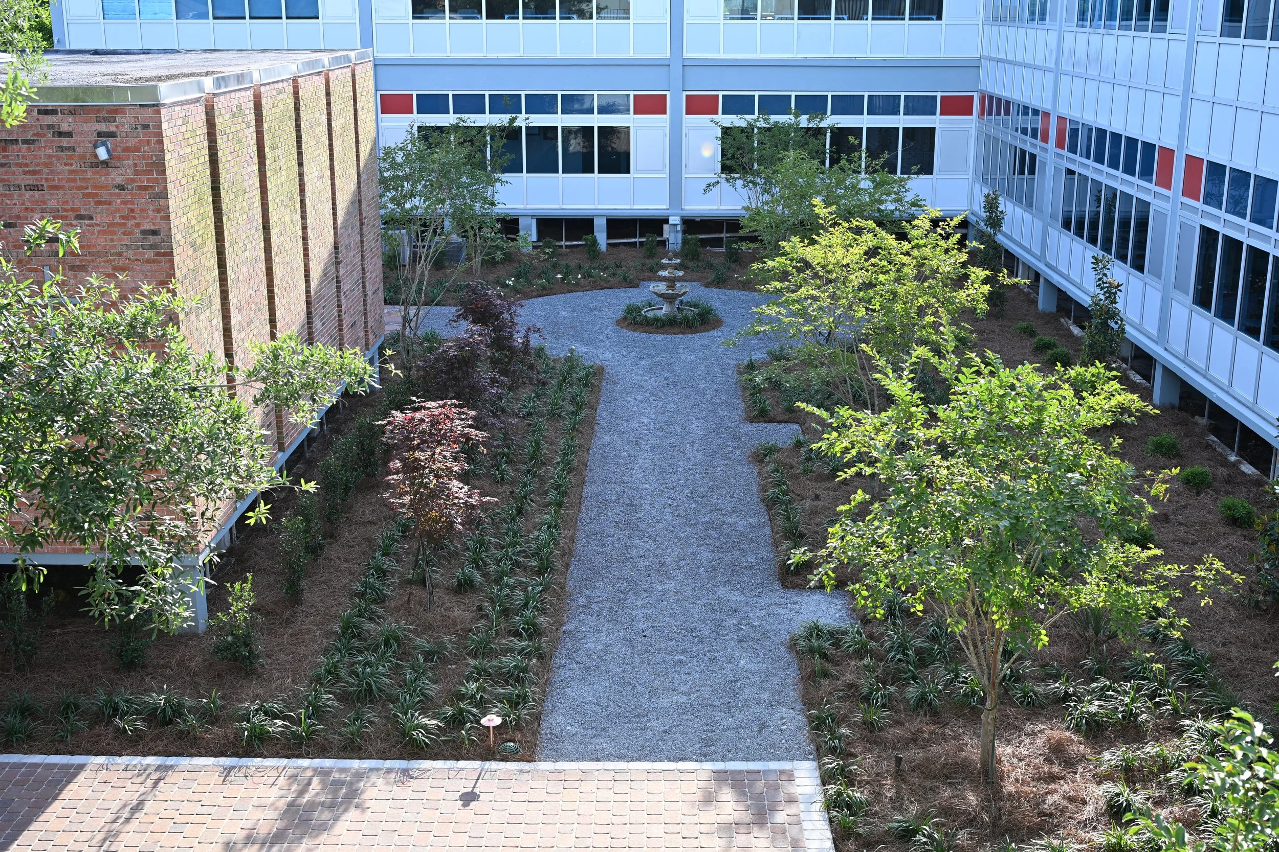 DSC_0326.JPG