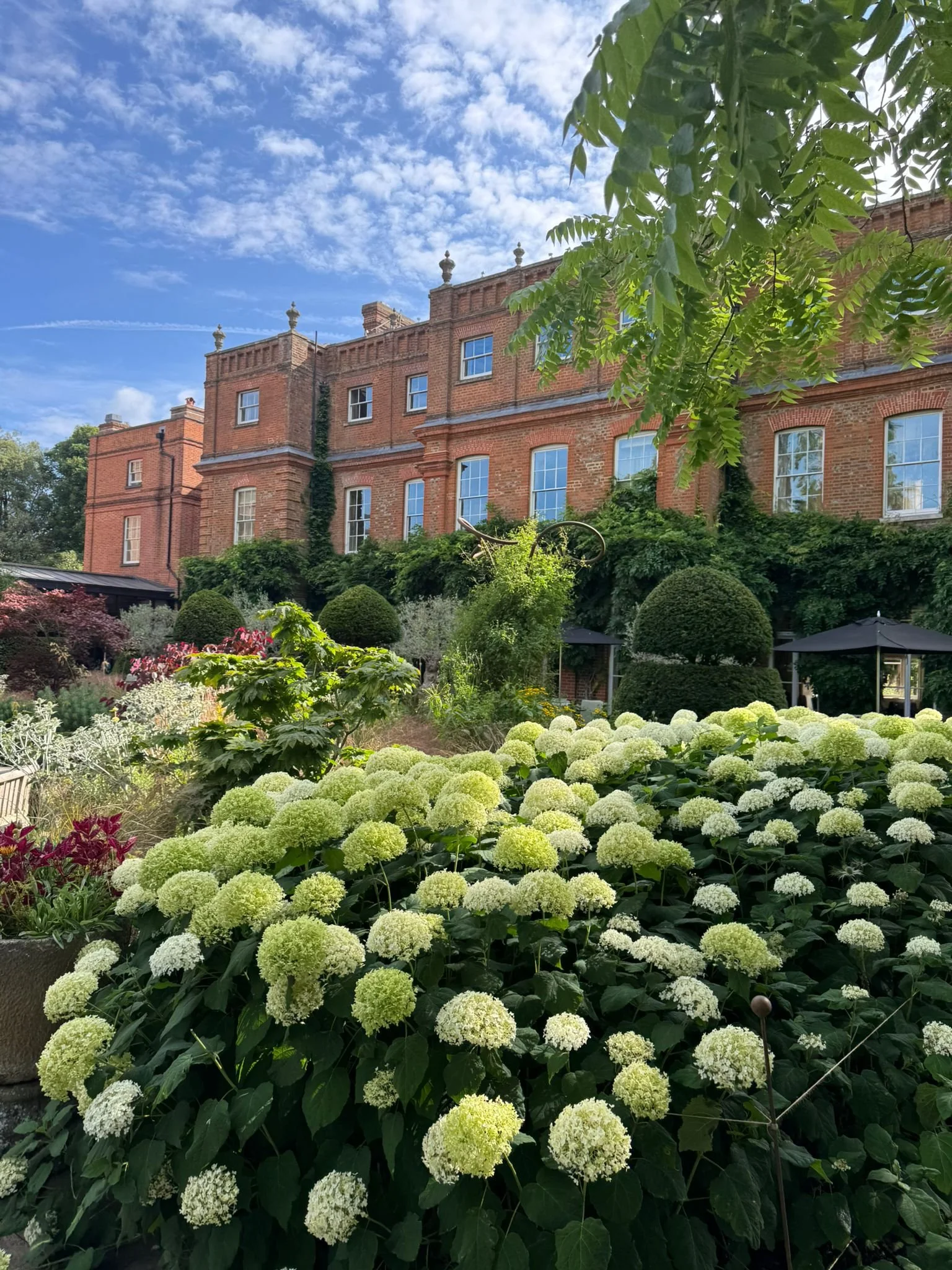 A garden with white hydrangea flowers, topiary bushes, and lush green plants in front of a brick building with blue windows under a partly cloudy sky.