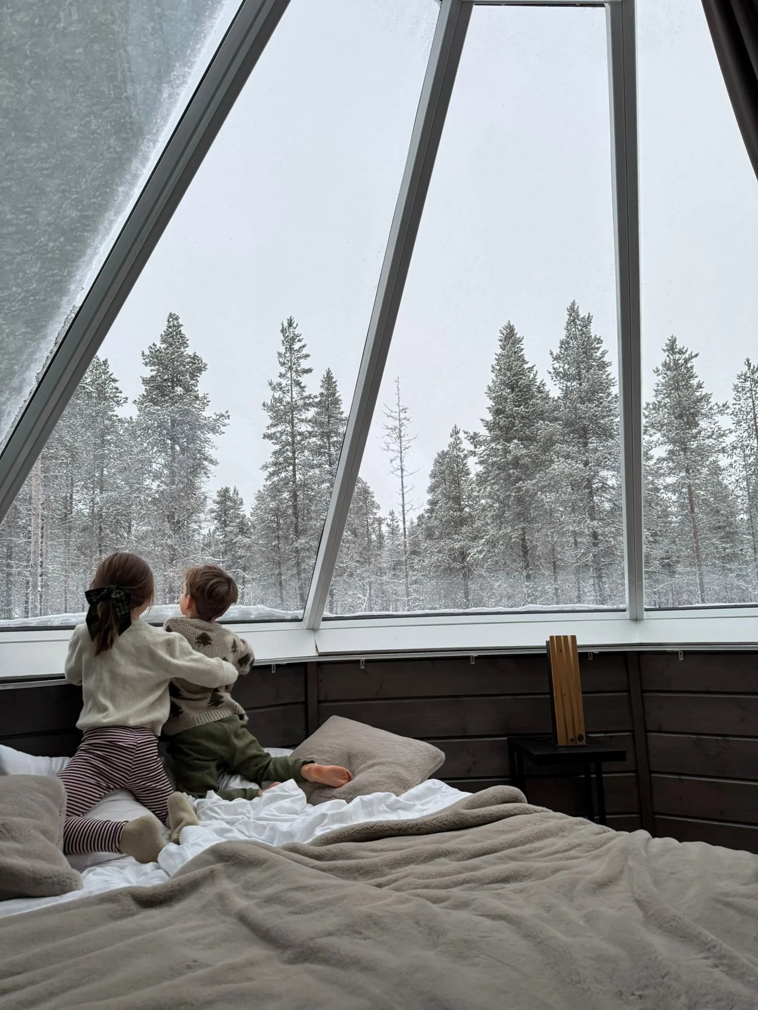 Watching huskies from our aurora cabin, Northern Lights Village Saariselka