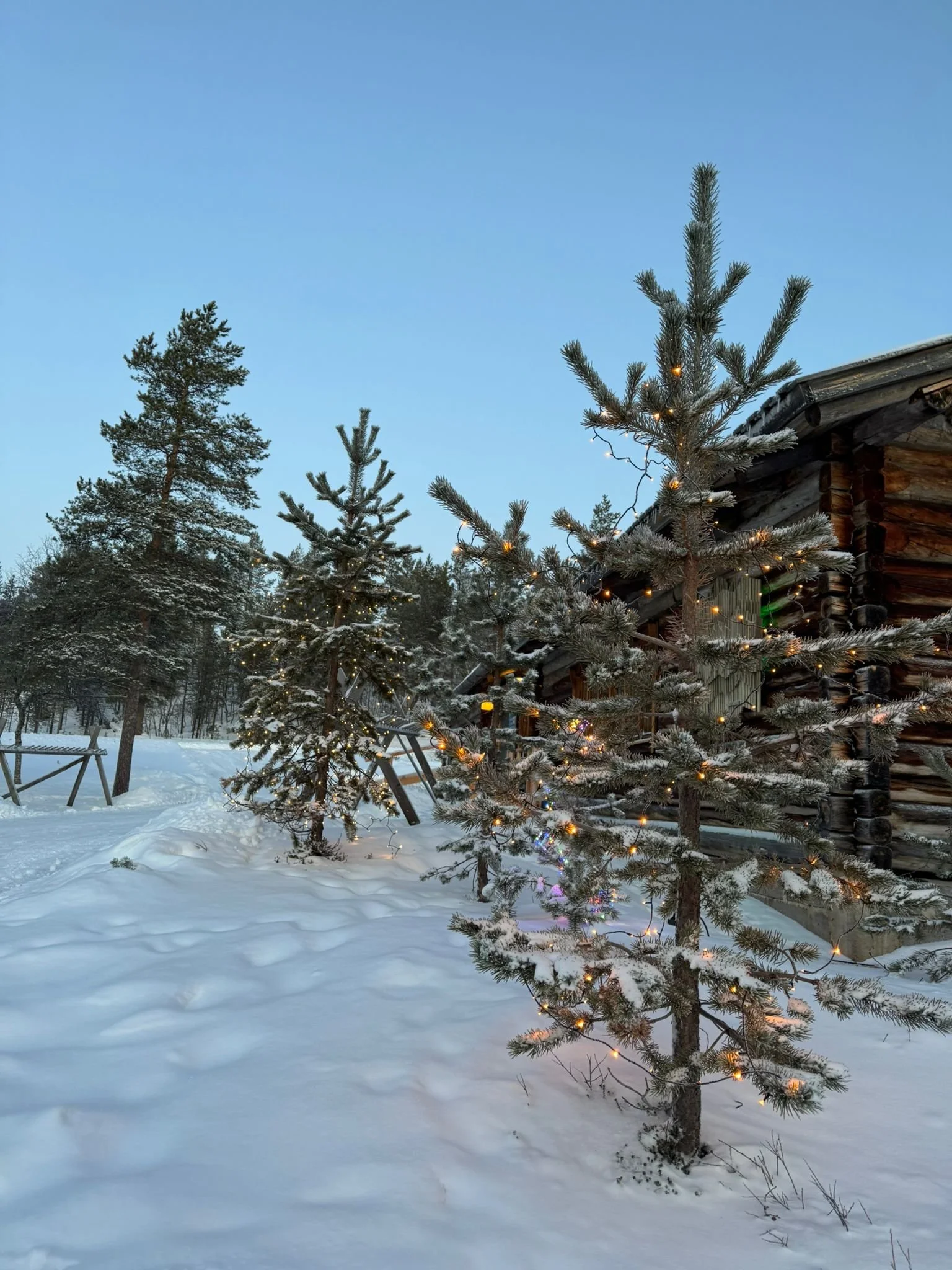 Saariselka, North Pole, Finland, Snowy Trees