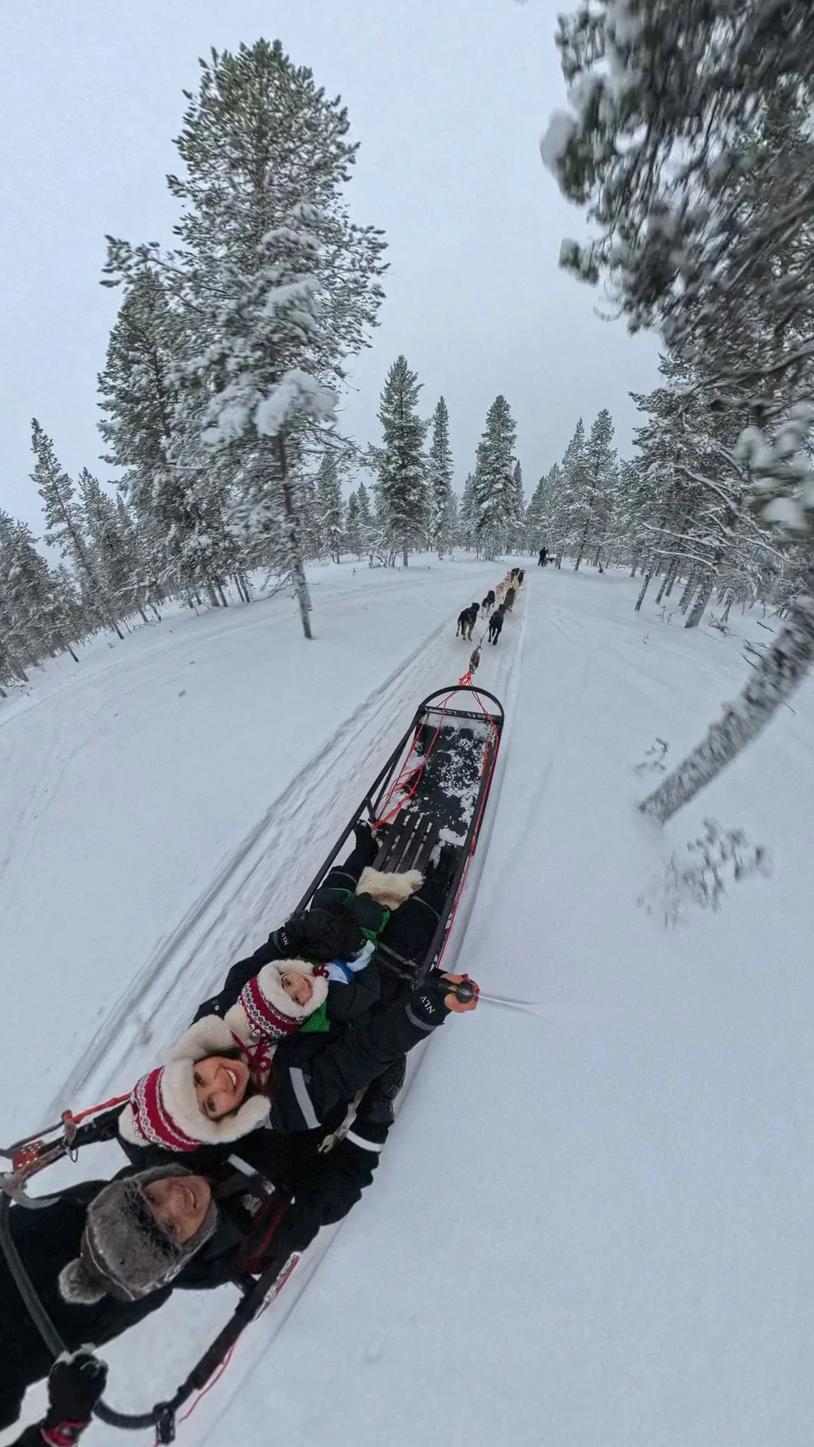 Husky Ride, Saariselka, Finland