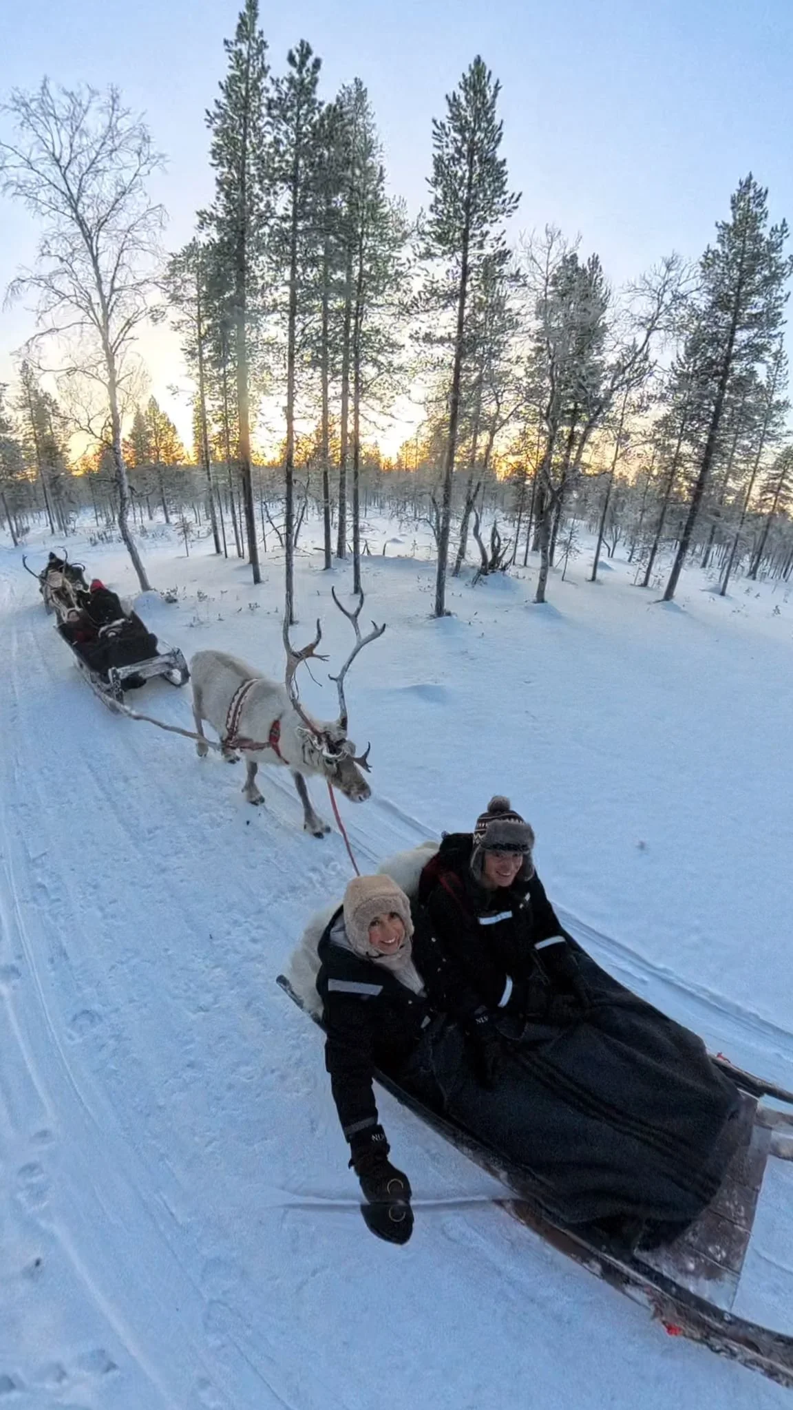 Magical Reindeer ride, Northern lights village, saariselka