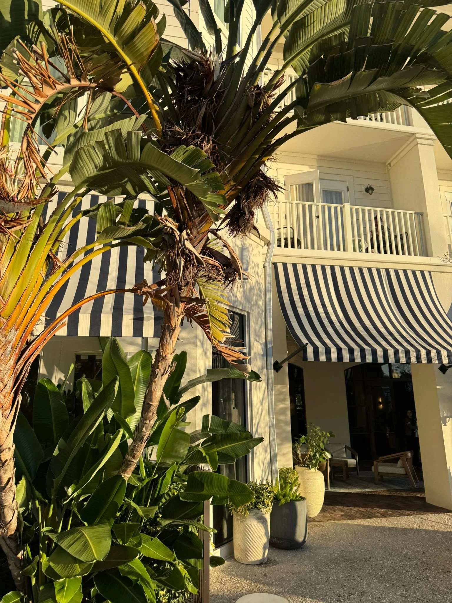 Inn at Celebration Review, visit Kissimmee with kids