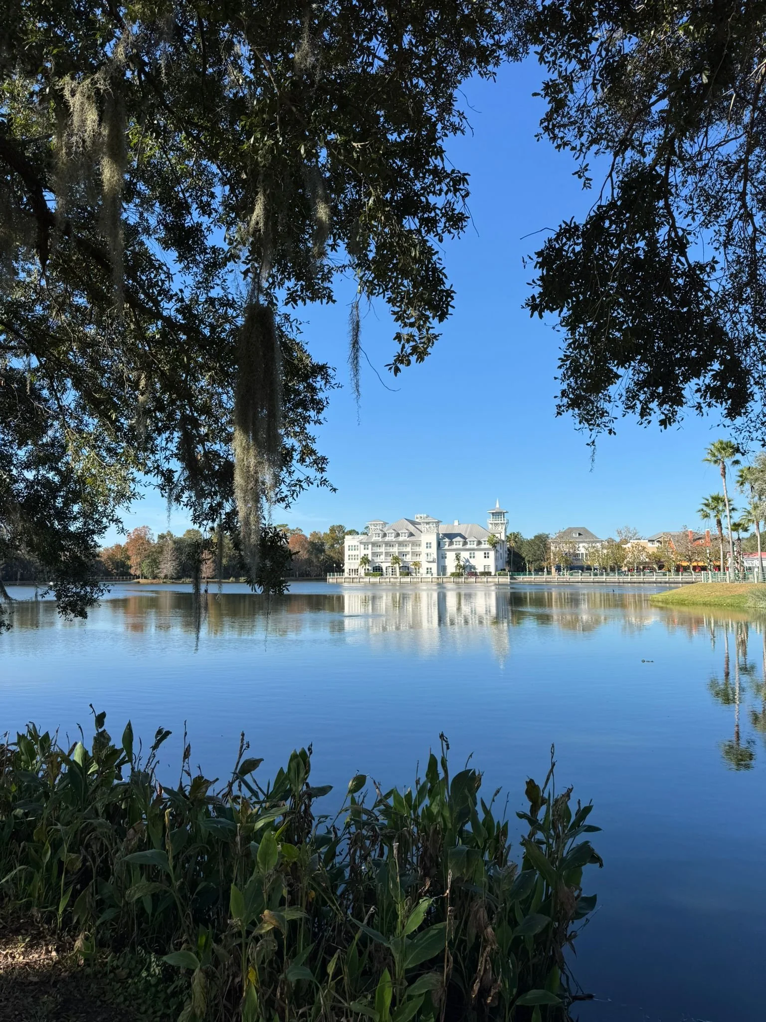 Inn at Celebration Review, visit Kissimmee with kids