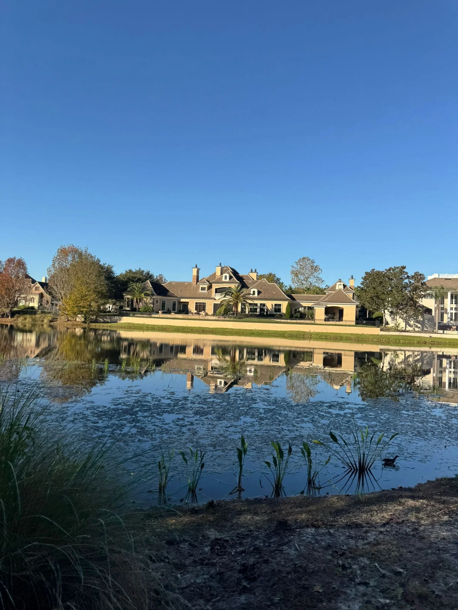 Bike Hire in Celebration, Visit Kissimmee with kids