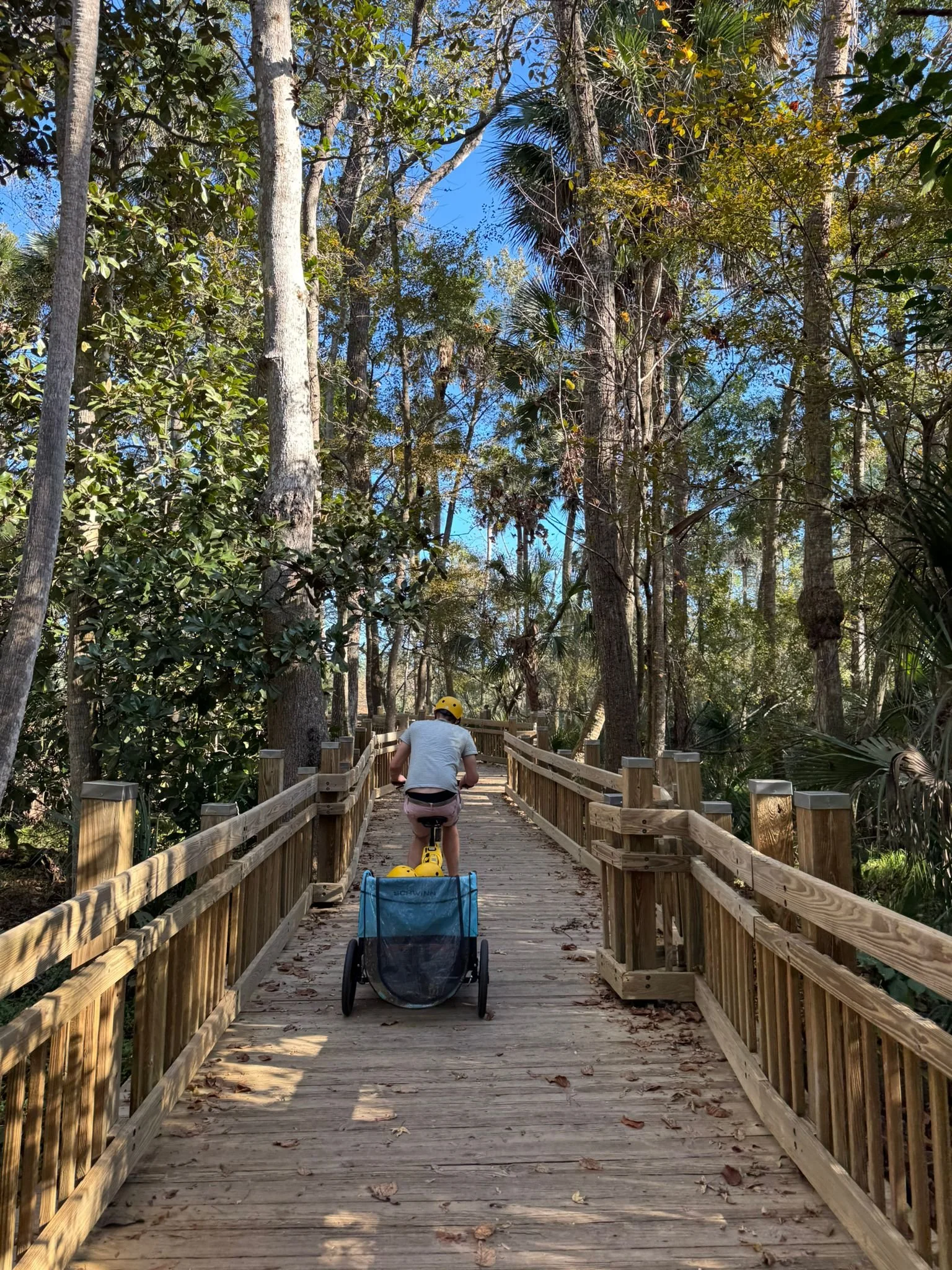 Bike Hire in Celebration, Visit Kissimmee with kids