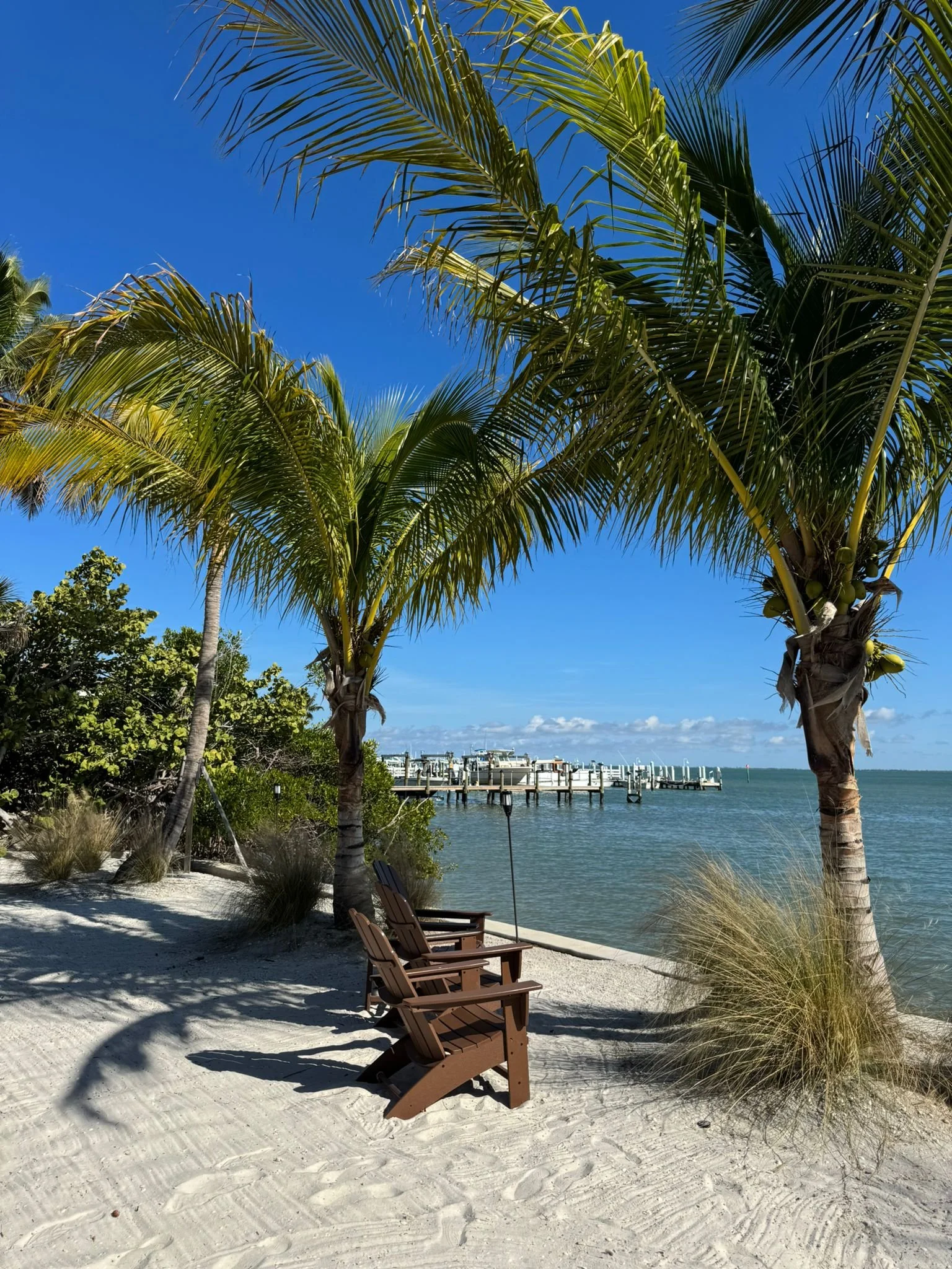 Sanibel and Captiva Islands, South Florida with Kids Guide
