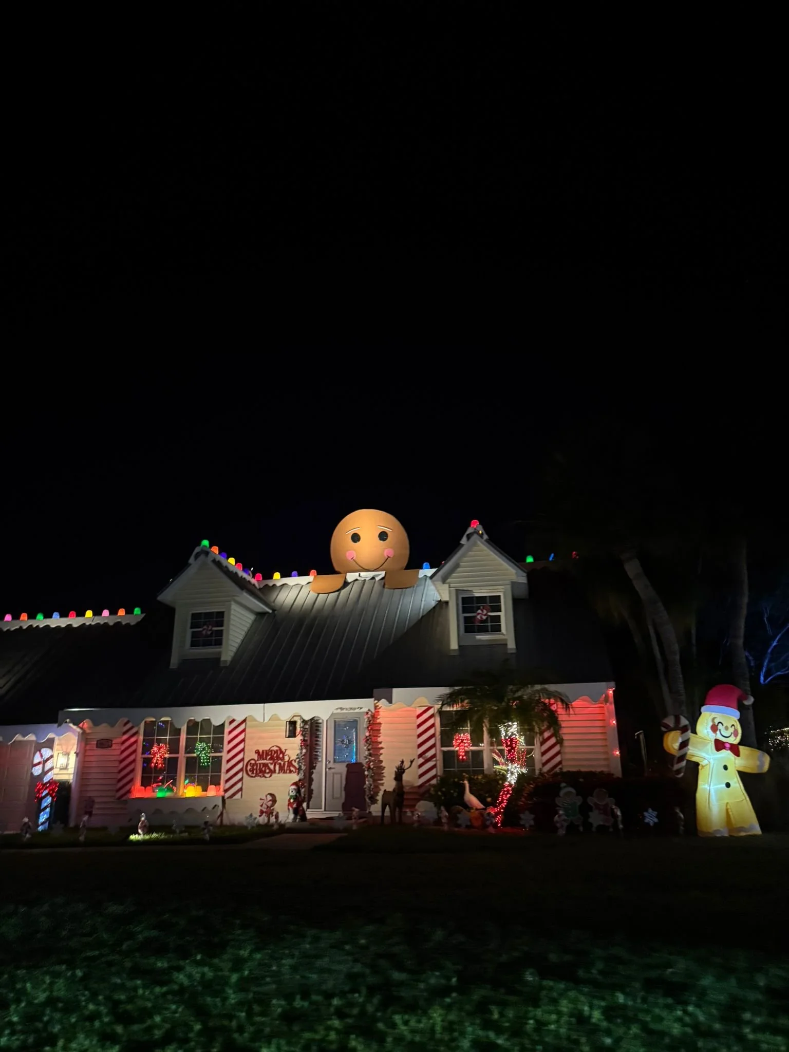 Victoria Park, Naples Christmas Lights, South Florida with Kids Guide