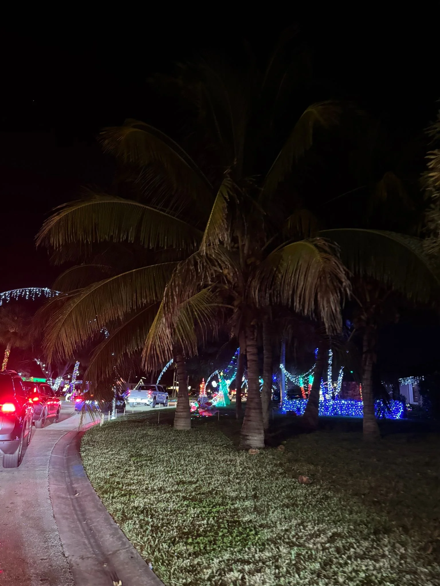 Victoria Park, Naples Christmas Lights, South Florida with Kids Guide