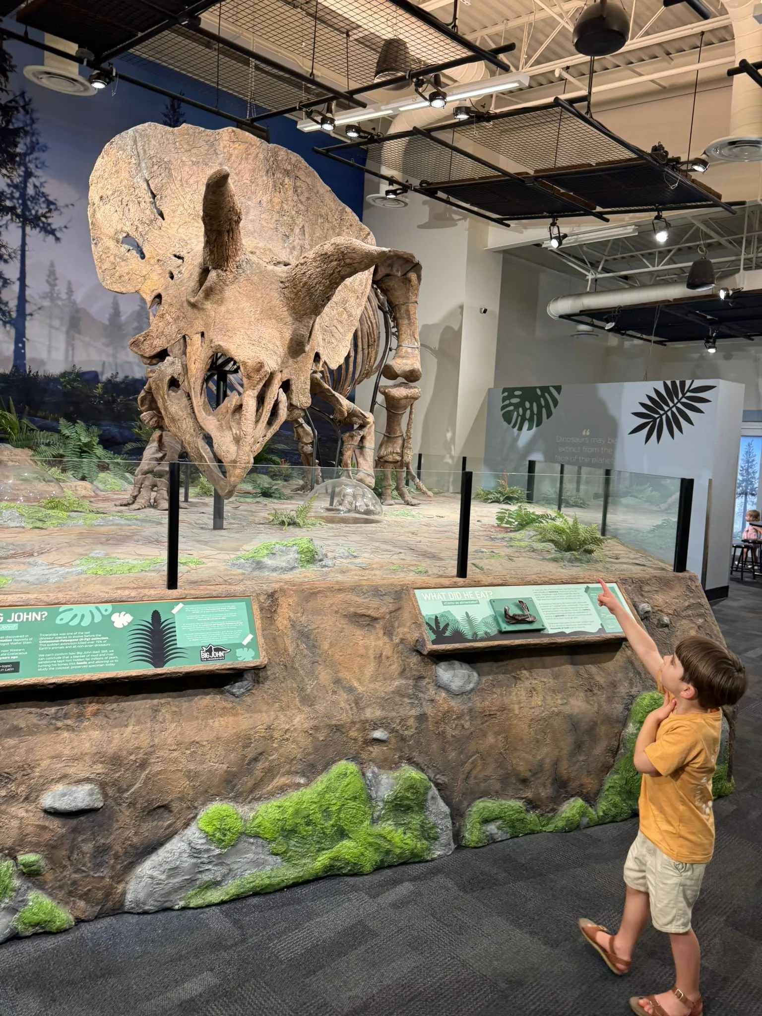 Glazer Children's Museum, Tampa,  South Florida with Kids Guide