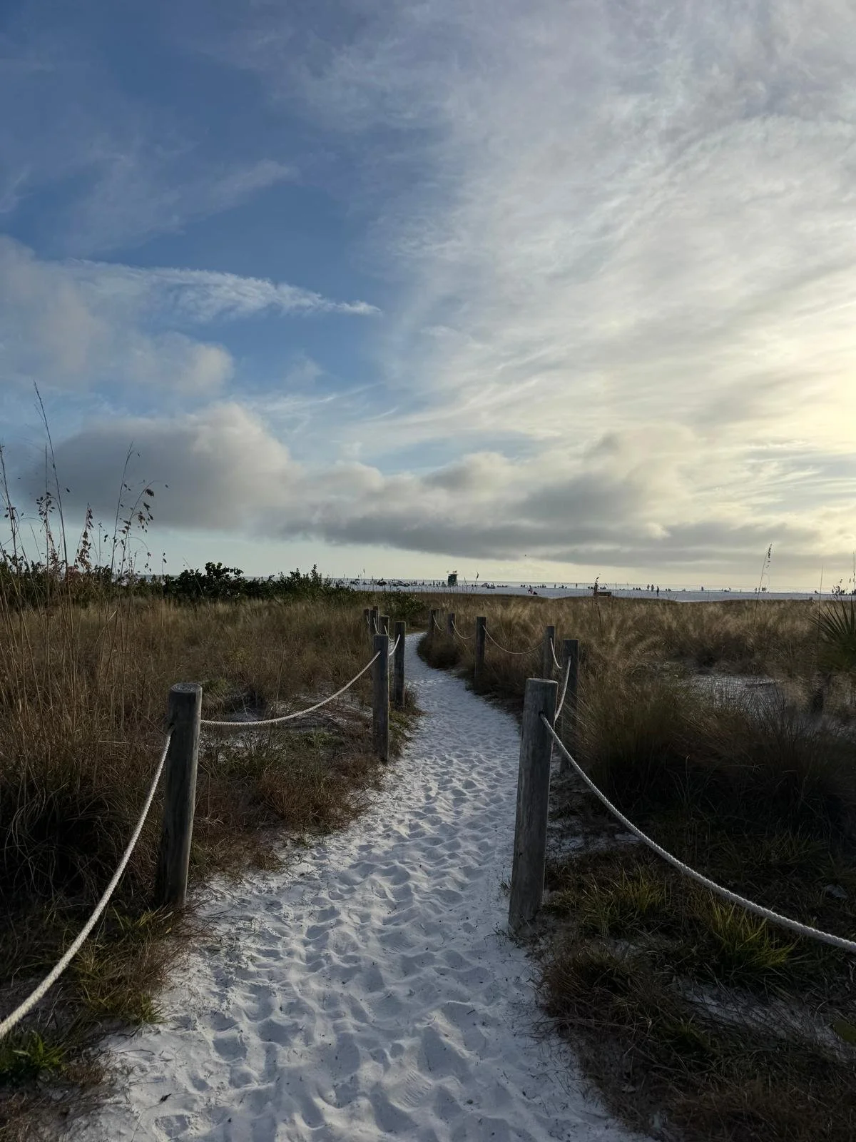 Siesta Key Beach, South Florida with Kids Guide