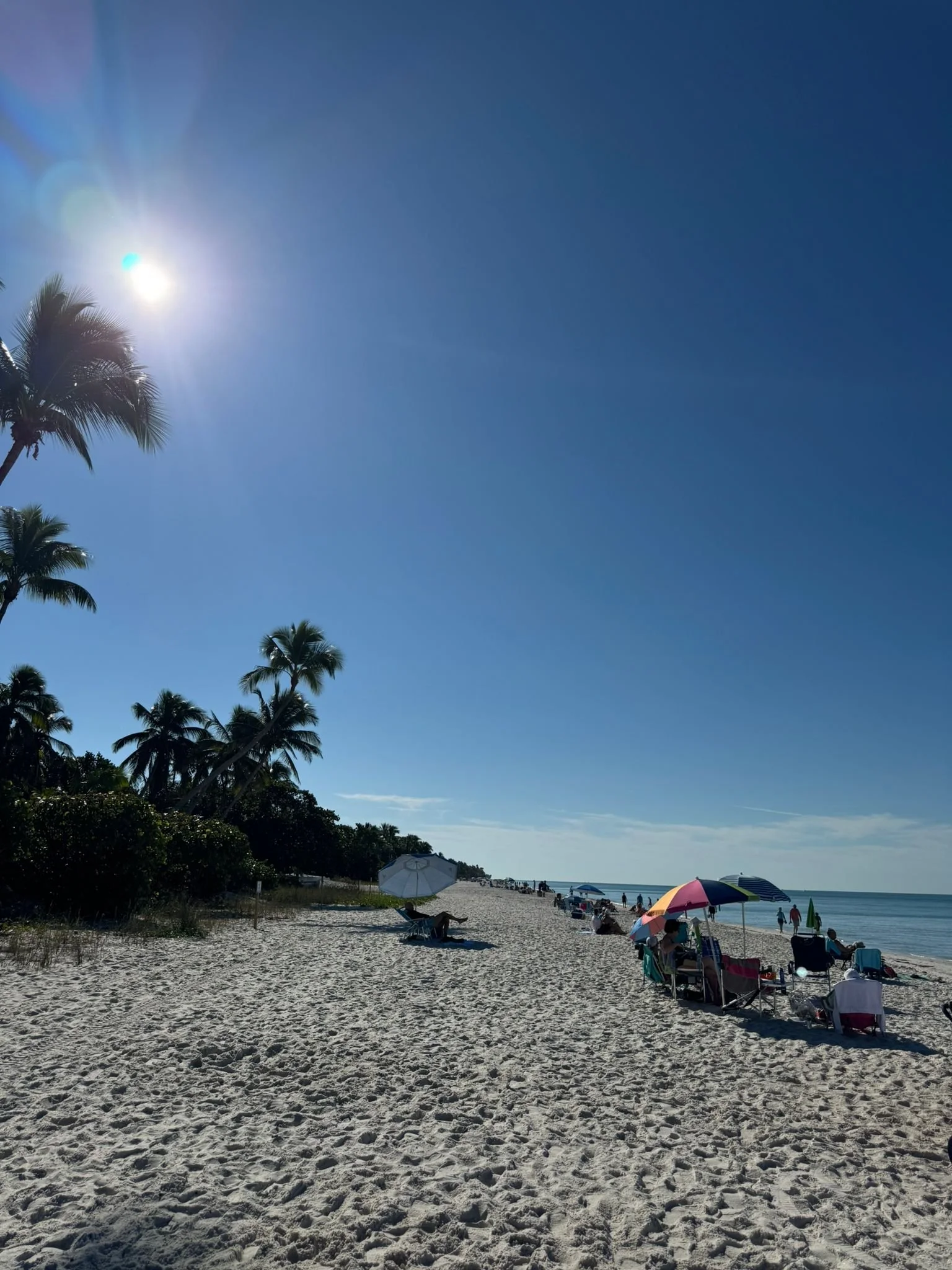 Naples Old Town, Beach, South Florida with Kids Guide
