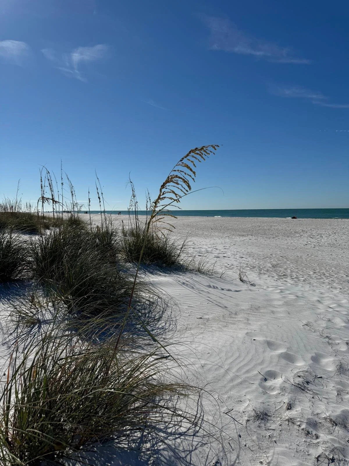 Bean Point Beach, Anna Maria Island