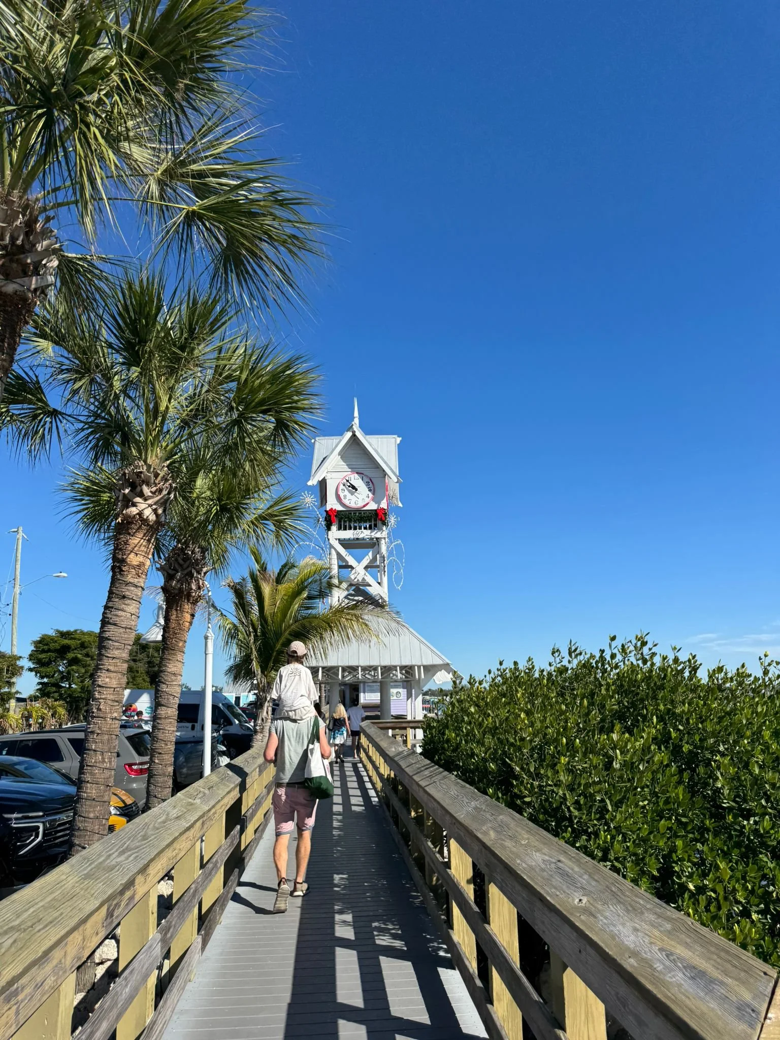 Anna Maria Island, South Florida with Kids Guide