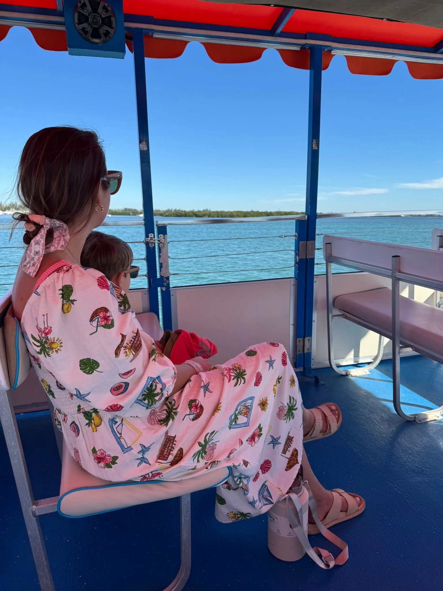 Dolphin Boat Trip, Anna Maria Island, South Florida with Kids Guide