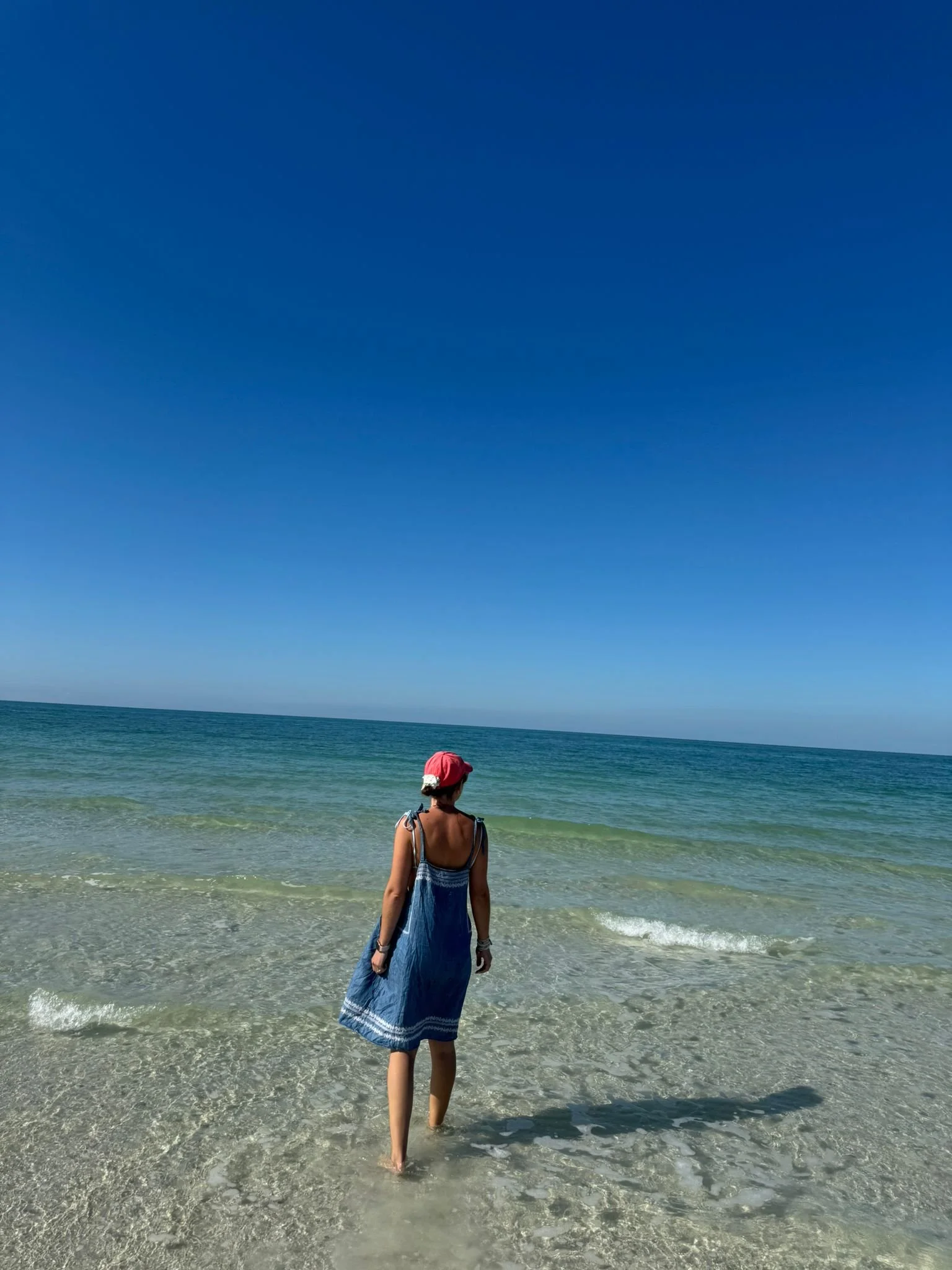 Marco Island, Sand Dollars, South Florida with Kids Guide
