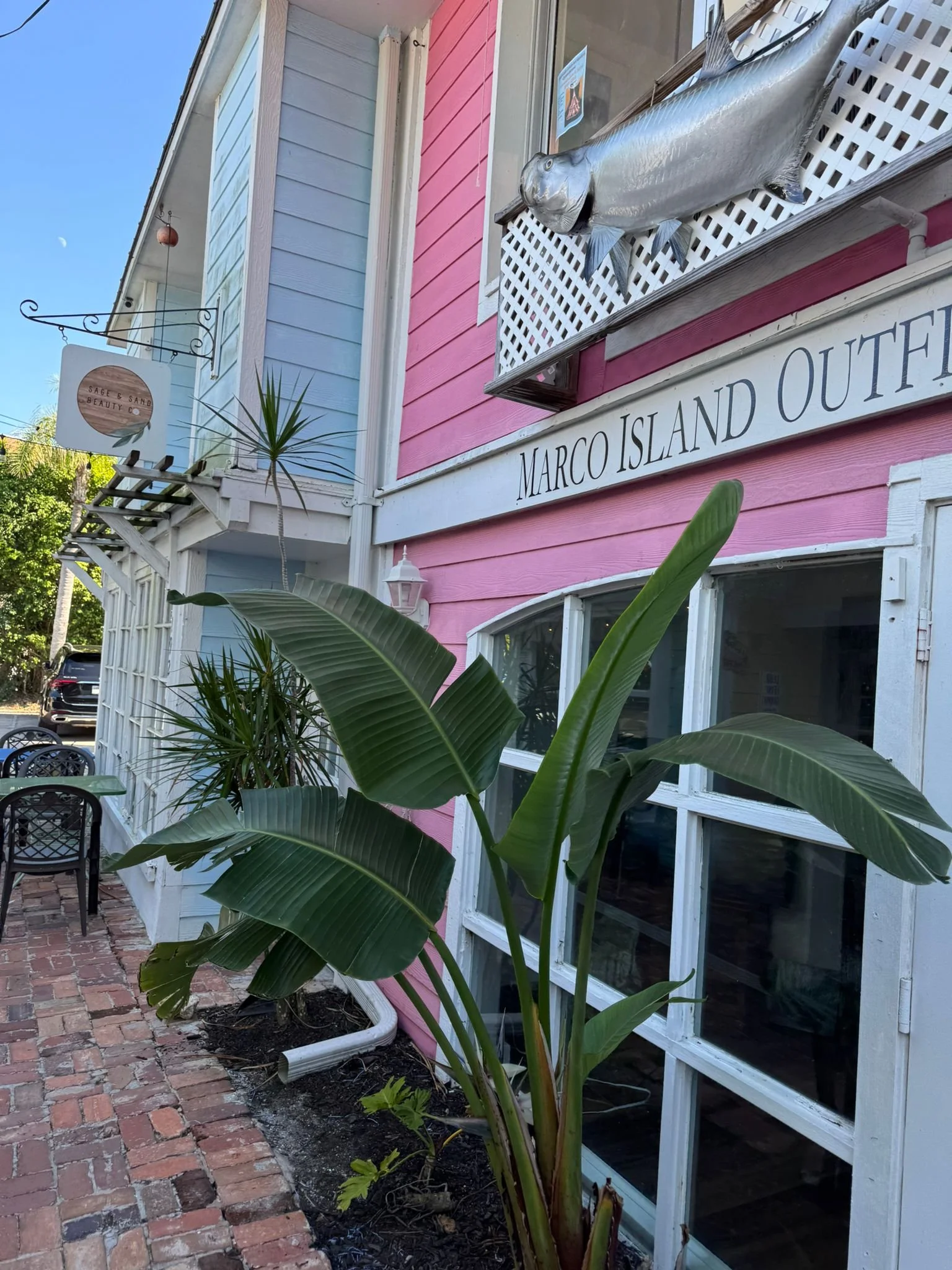 Marco Island, Sand Dollars, South Florida with Kids Guide