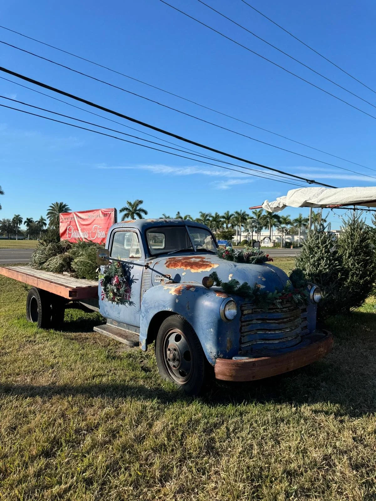 Detwilers Farm Market South Florida with Kids Guide