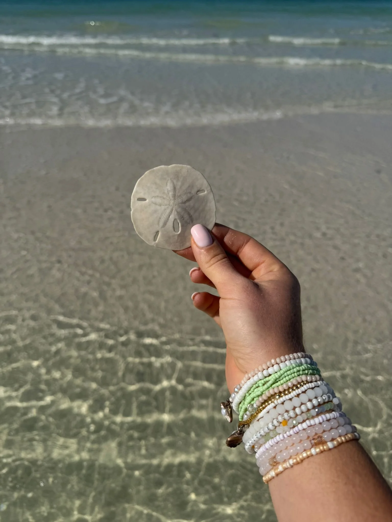 Marco Island, Sand Dollars, South Florida with Kids Guide