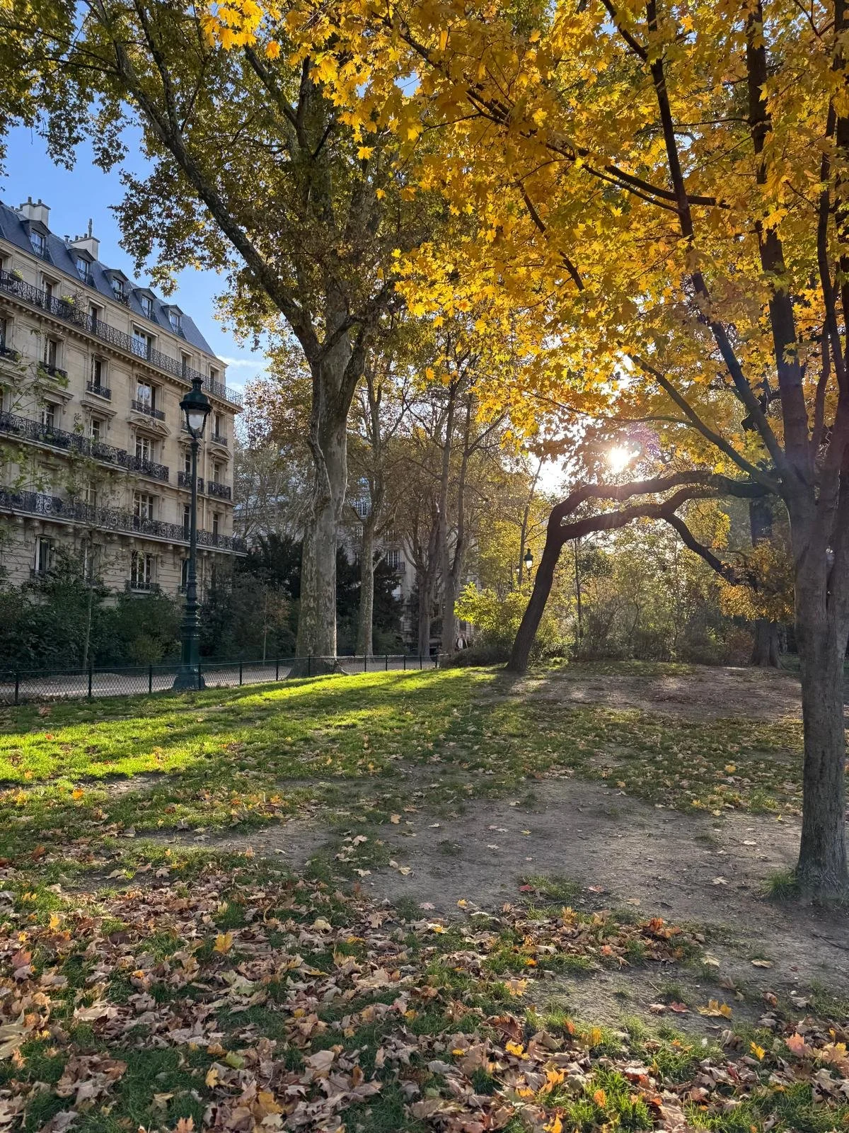 Autumn leaves, Paris with Kids travel blog