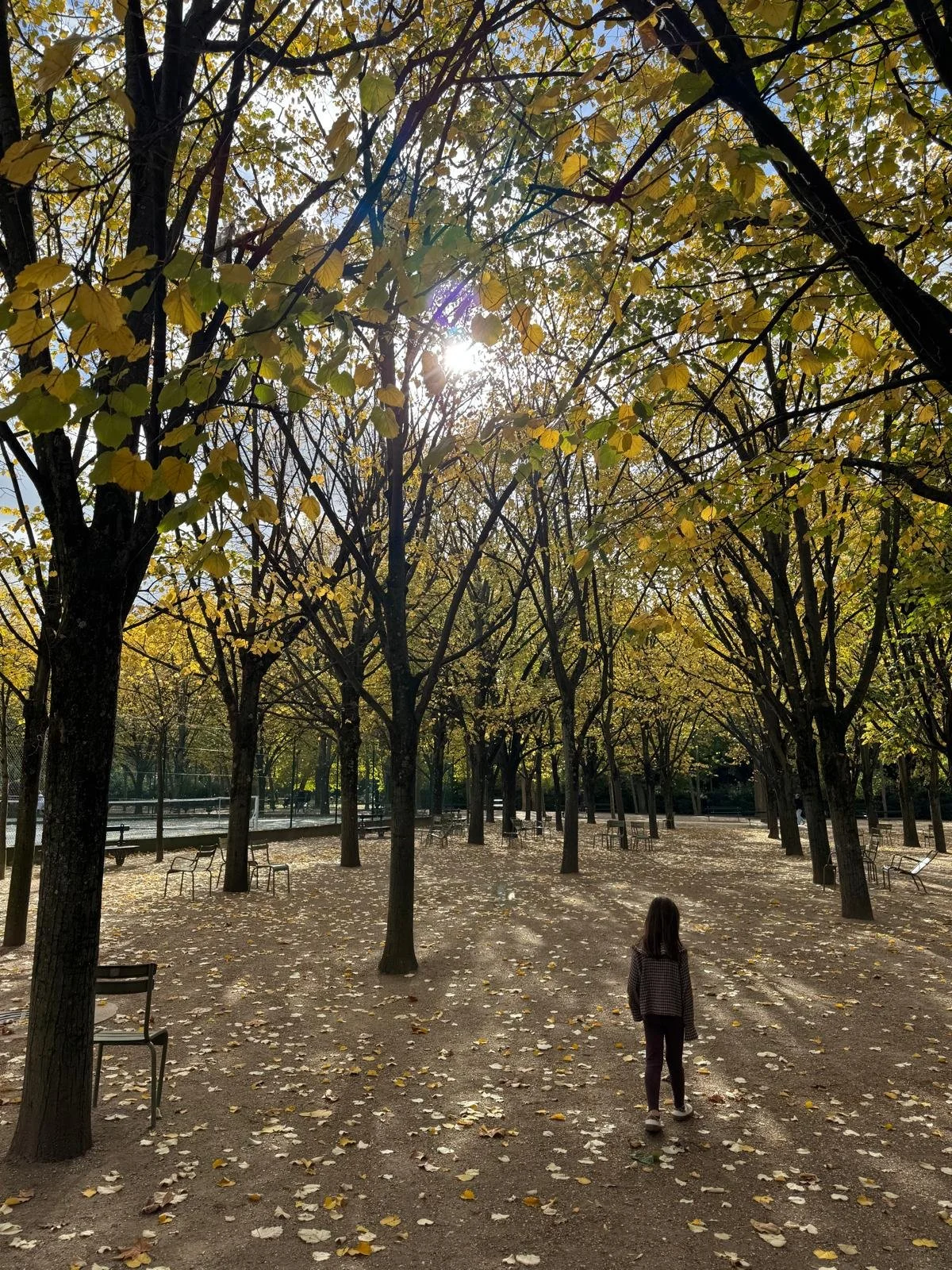 Jardin du Luxembourg, Paris with kids travel blog