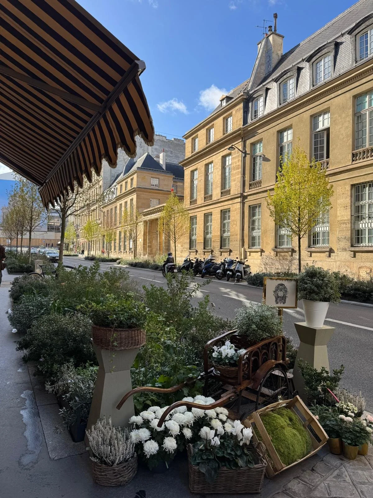 Paris with kids guide