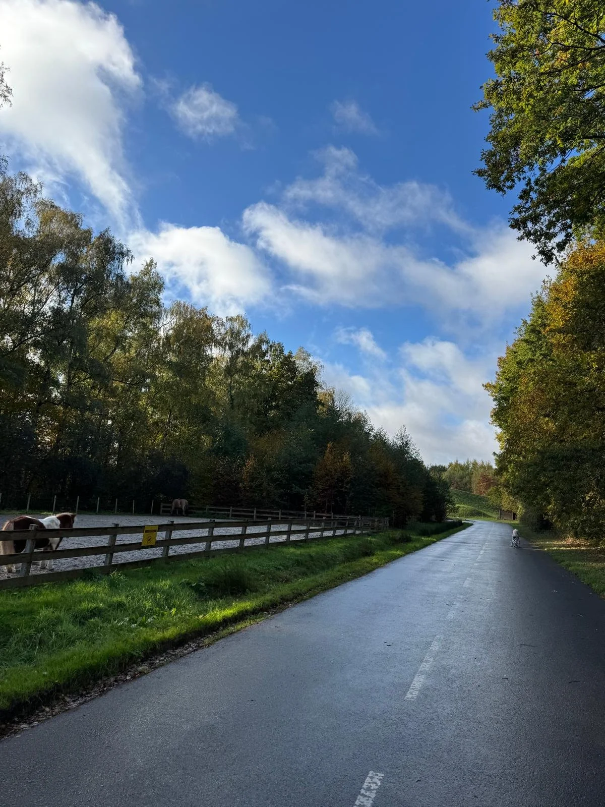 Cycle tracks, French Center Parcs, Les Villages Nature Paris