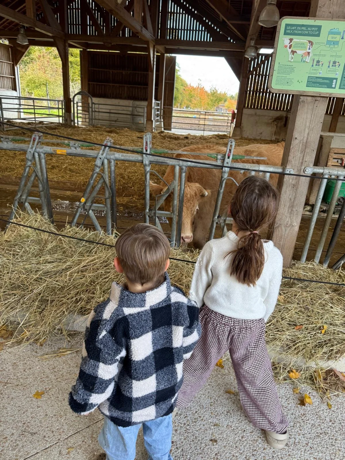 Farm, French Center Parcs, Les Villages Nature Paris