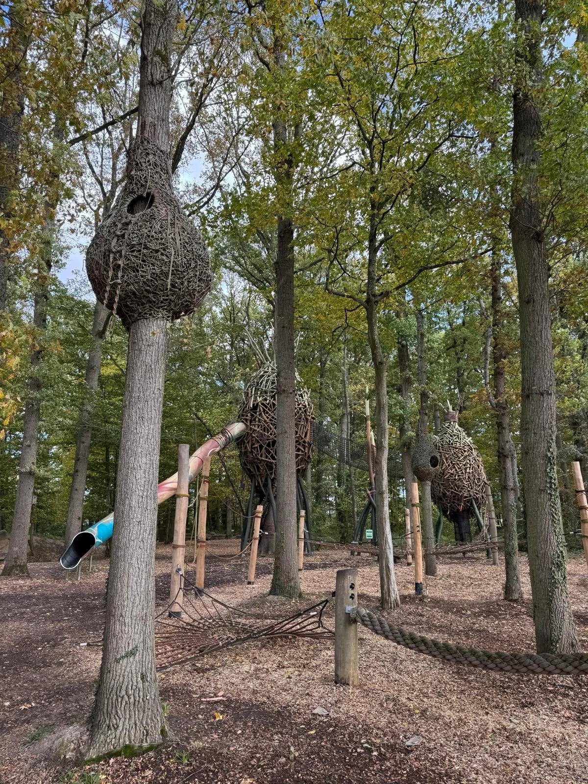 Outdoor Adventure Play, French Center Parcs, Les Villages Nature Paris