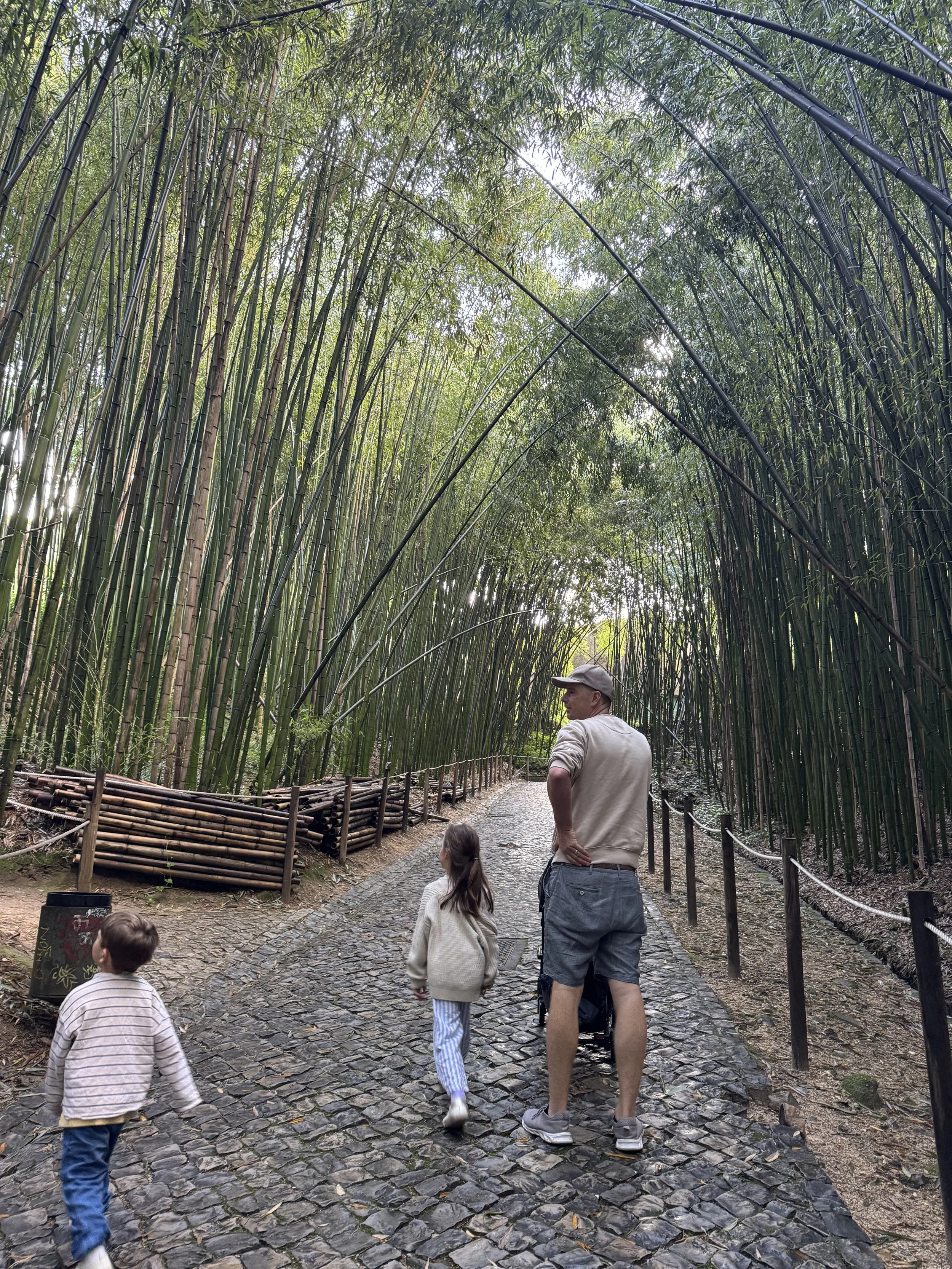 Botanical Gardens, Coimbra