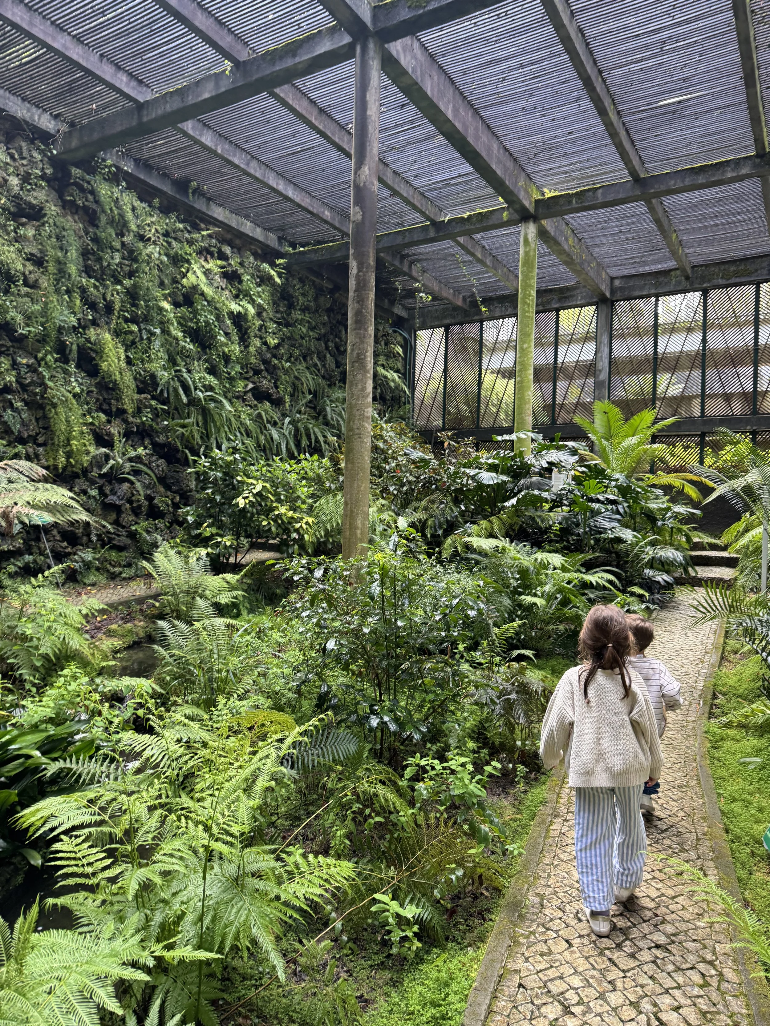 Coimbra Day Trip, Portuguese Road Trip with Kids