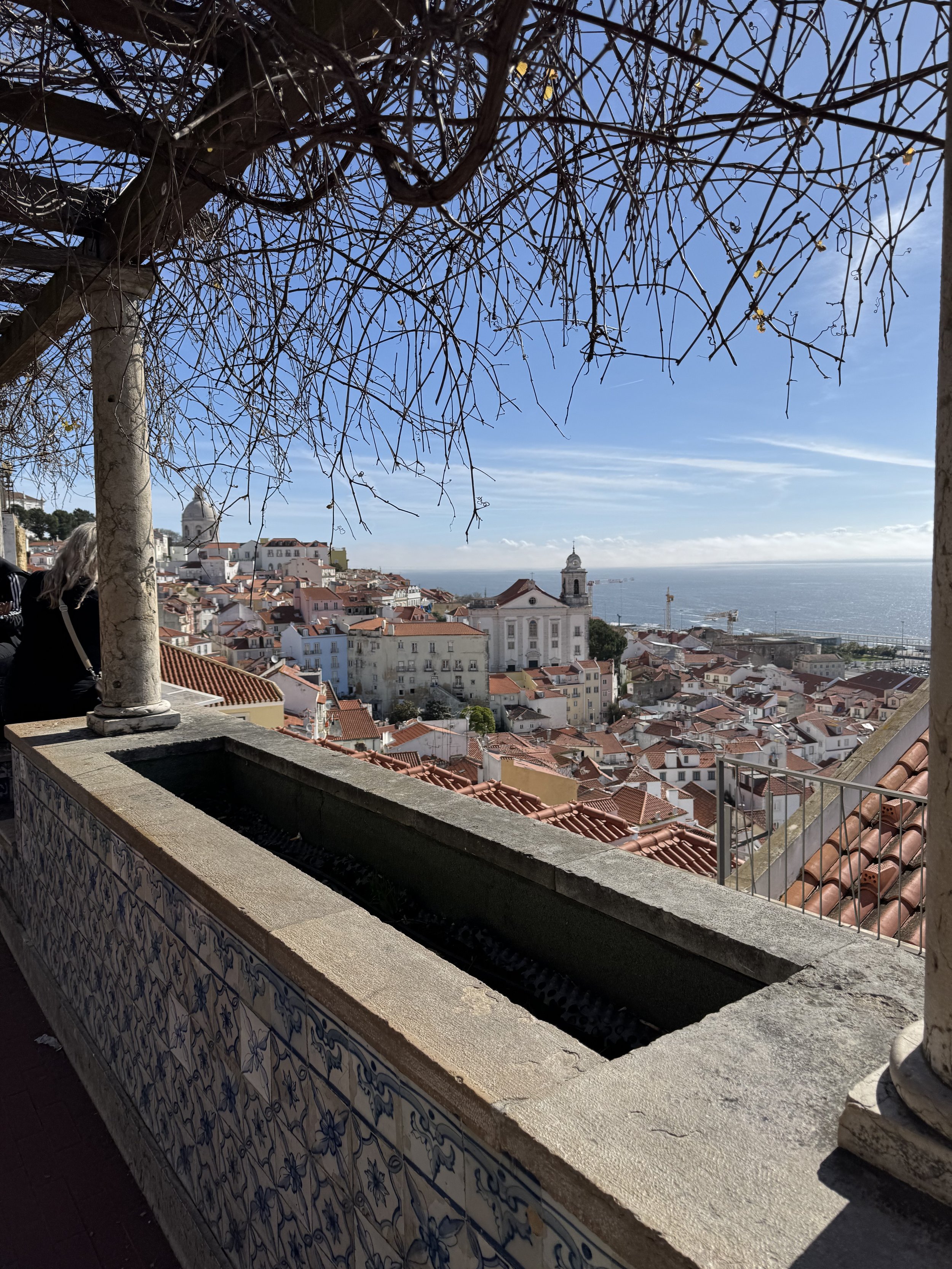 View from Miruador Square, Lisbon and Cascais Family Travel Blog
