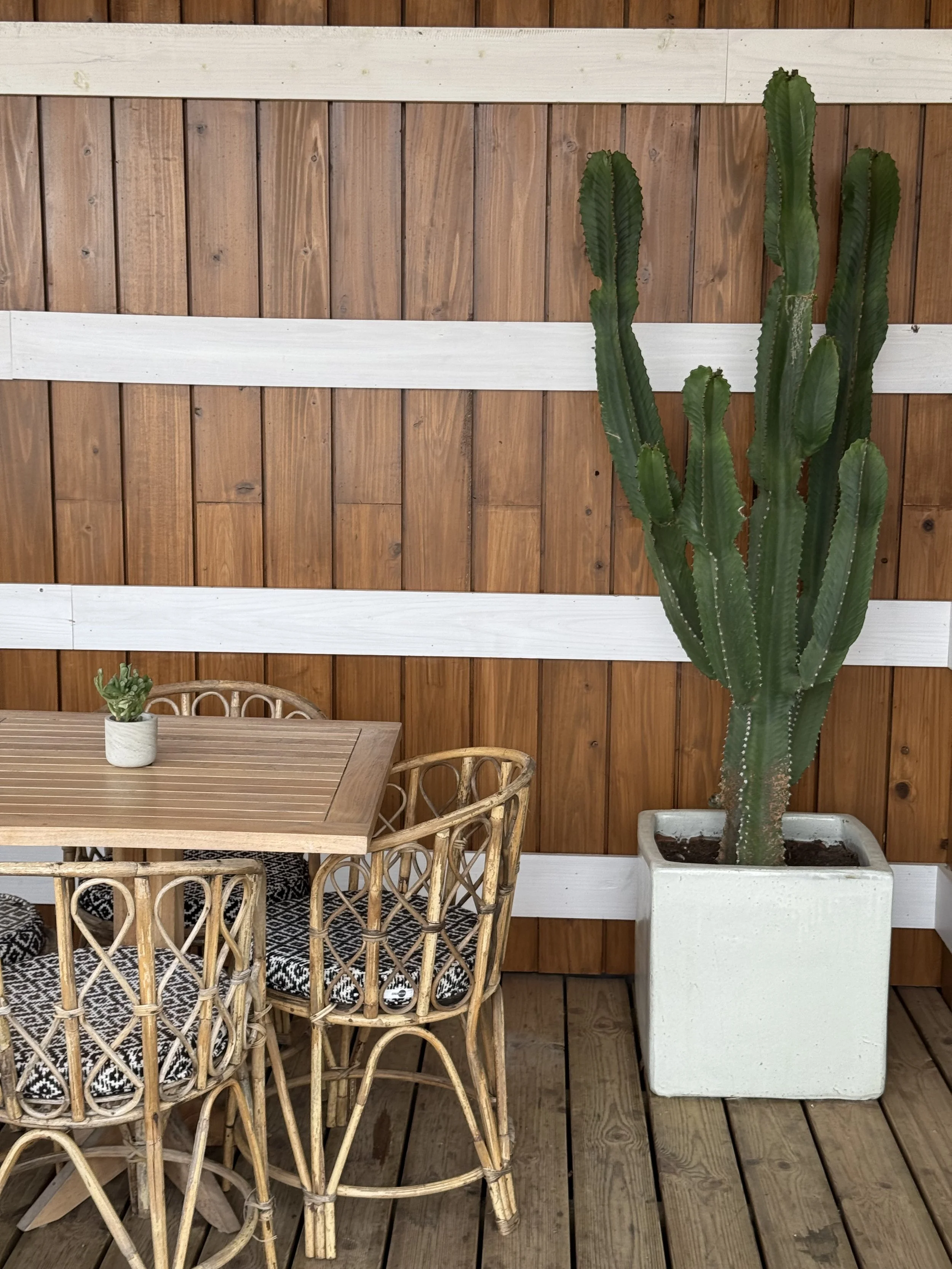 Cactus and cafes, Comporta with Kids