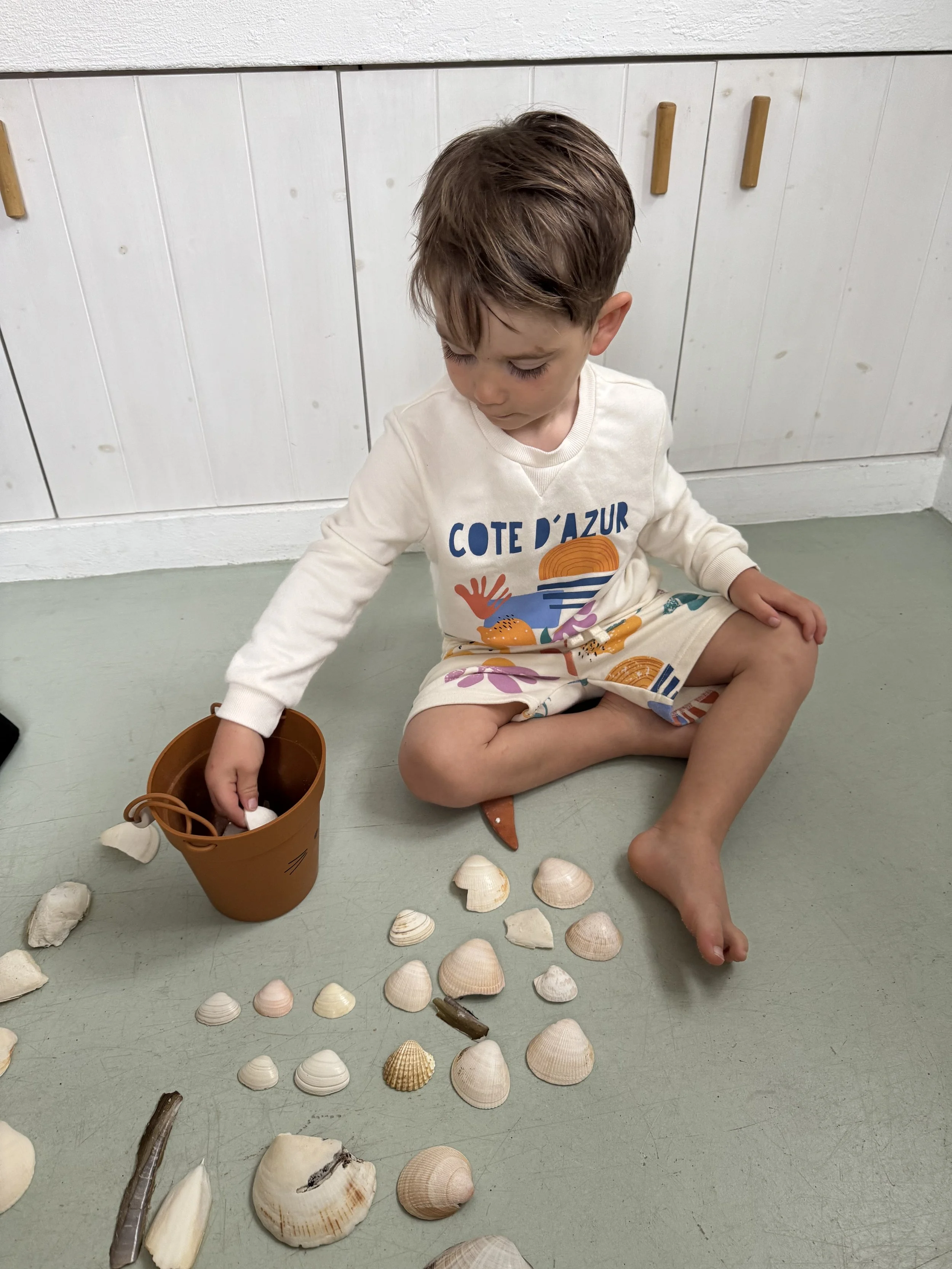 Shell collecting, Comporta with Kids
